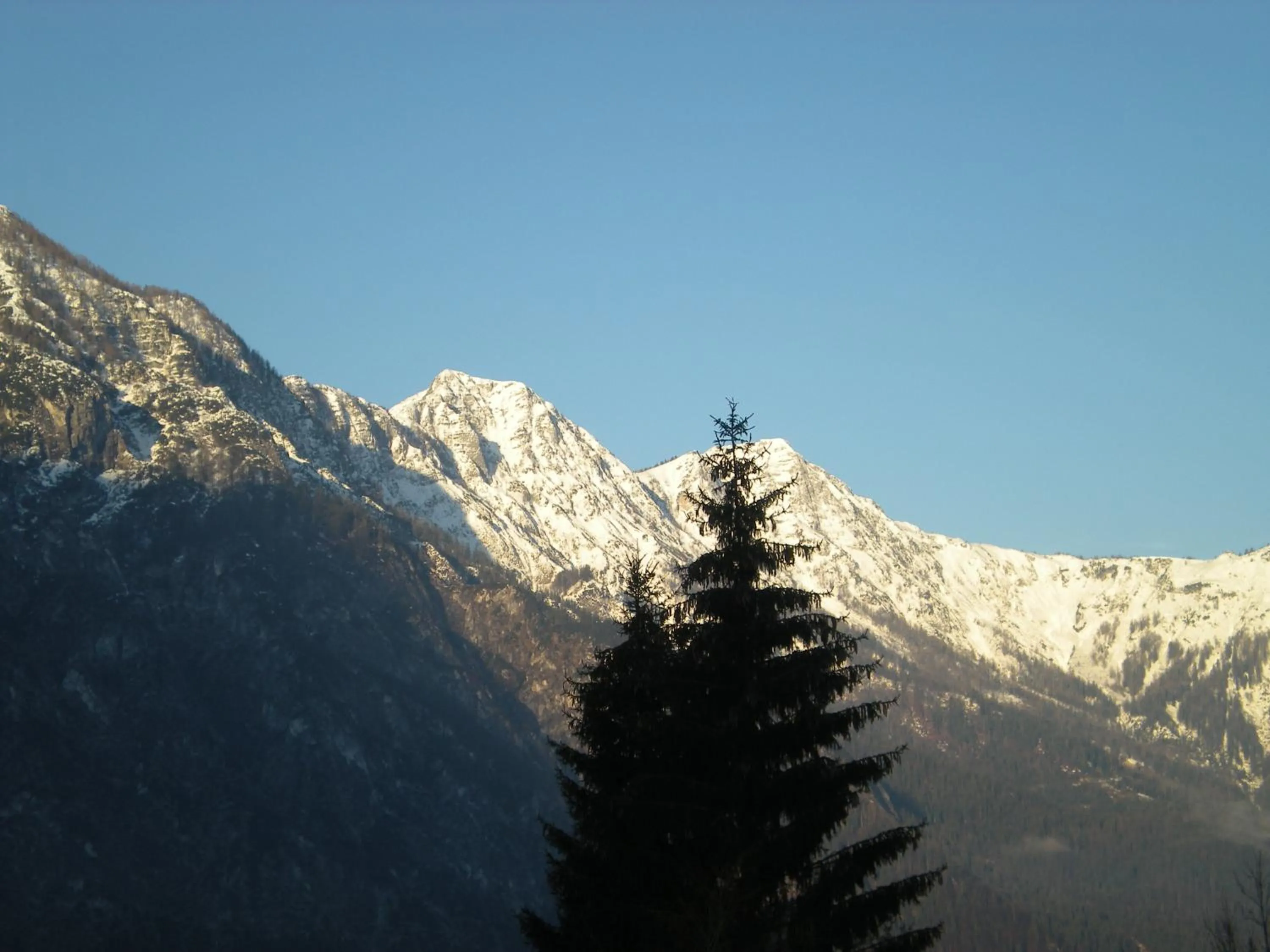 Natural landscape in Pension Leprich