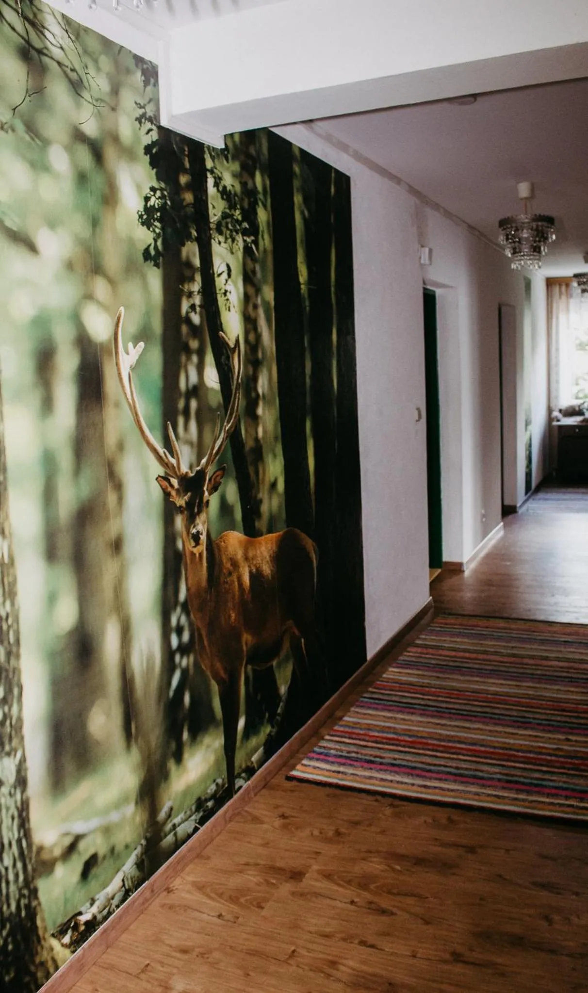 Facade/entrance in Pension Leprich
