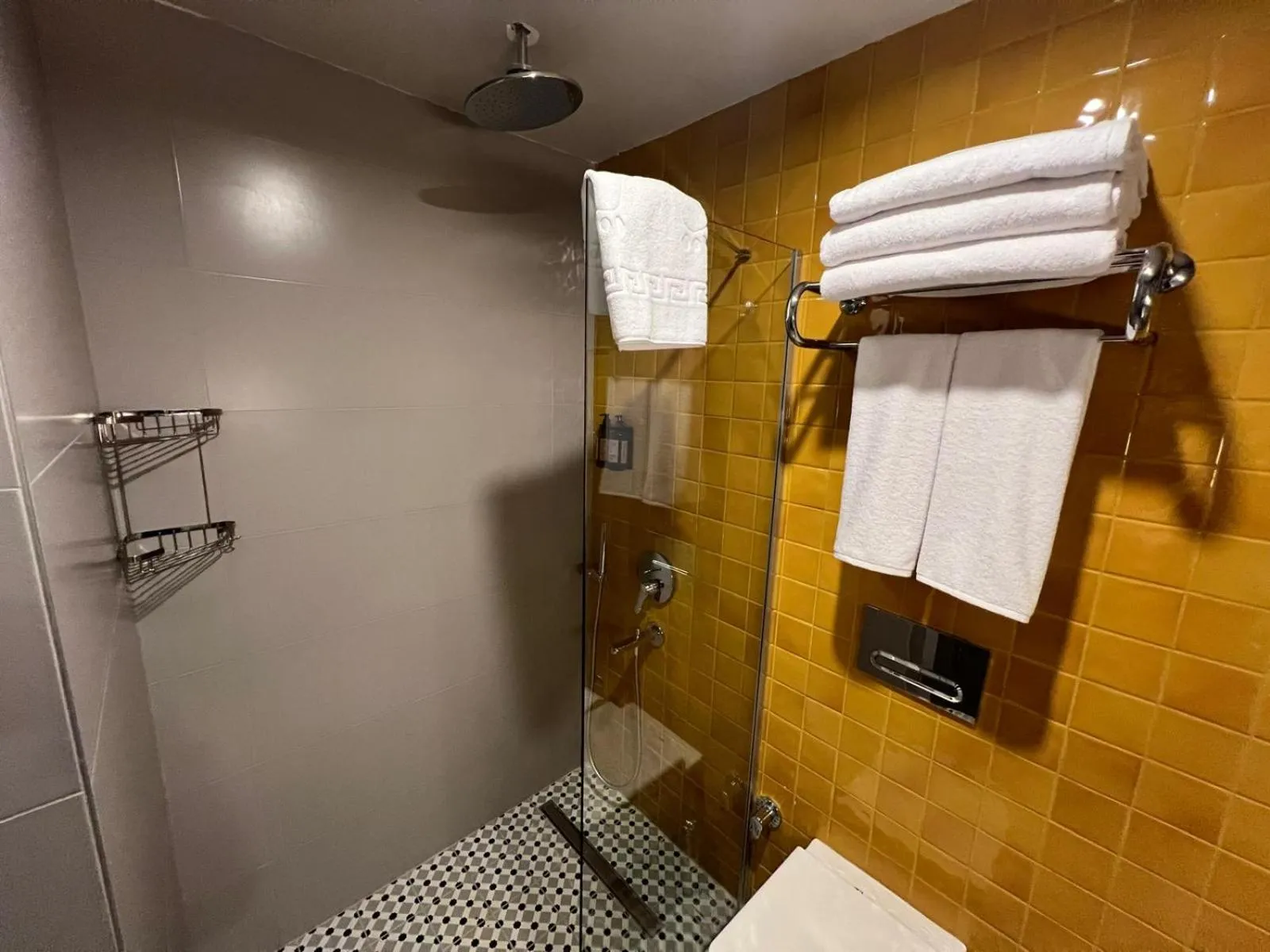 Shower in Weingart Suites Hotel
