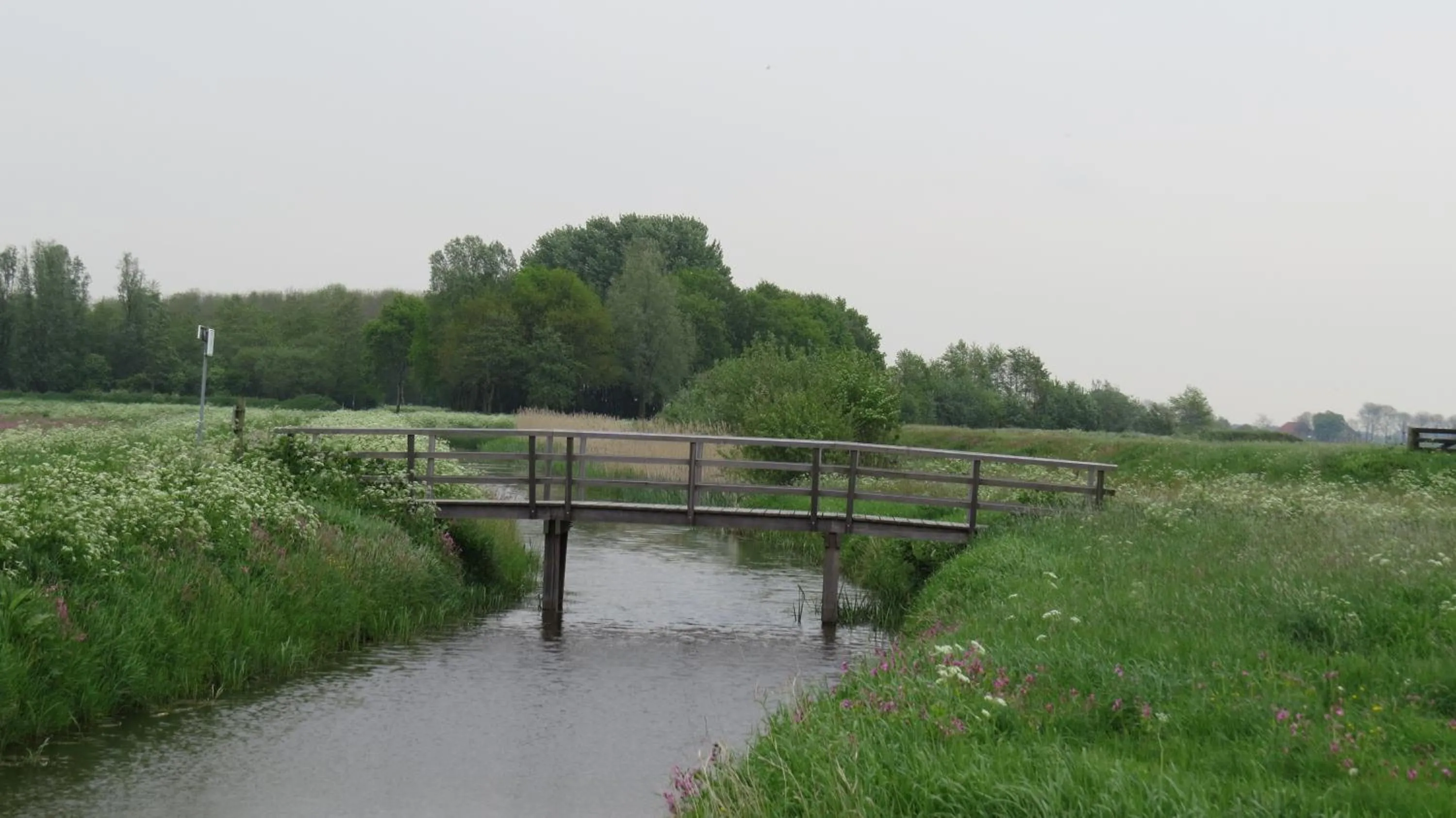 Natural landscape in 't Zwanemeer