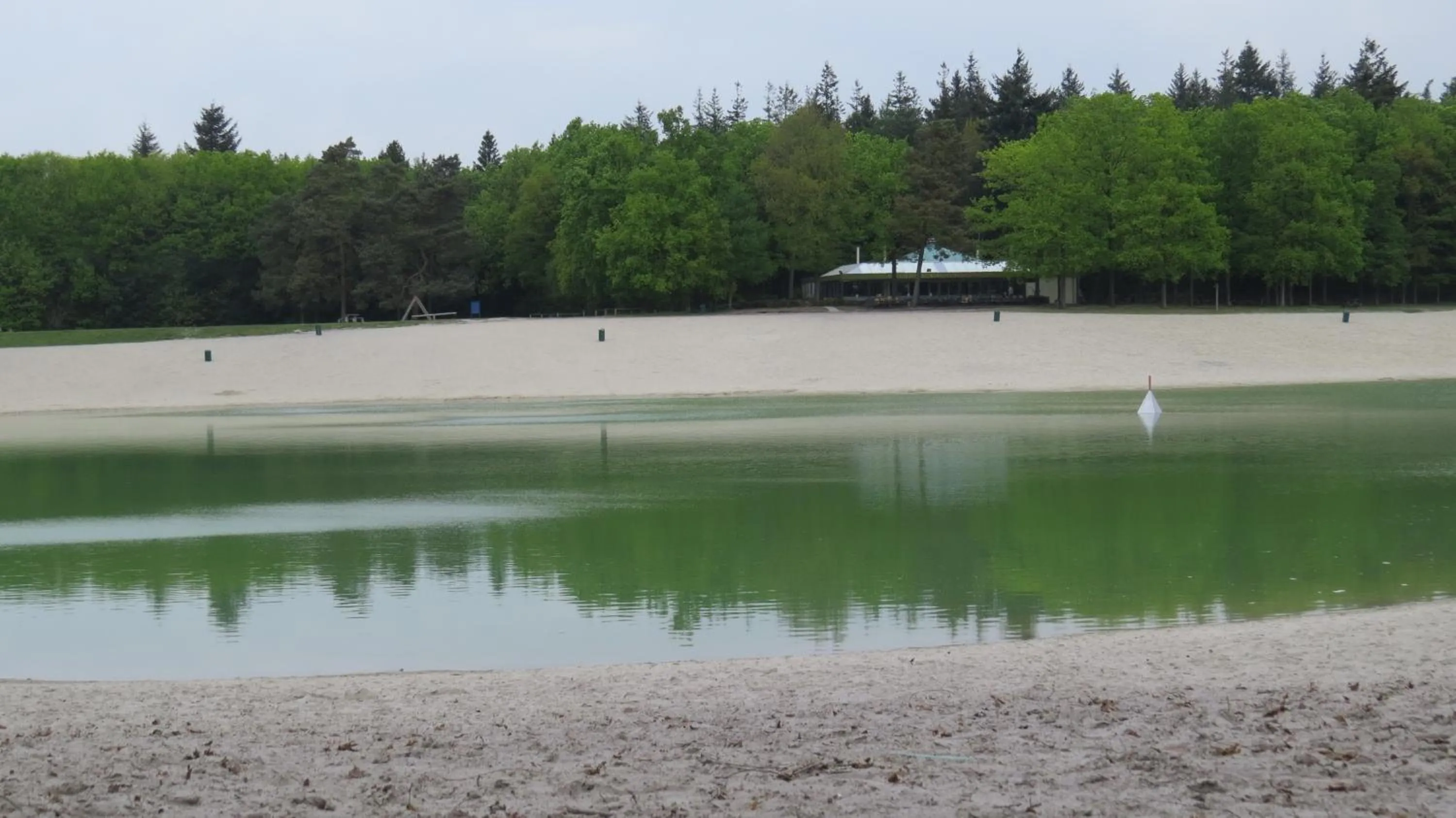 Natural landscape in 't Zwanemeer