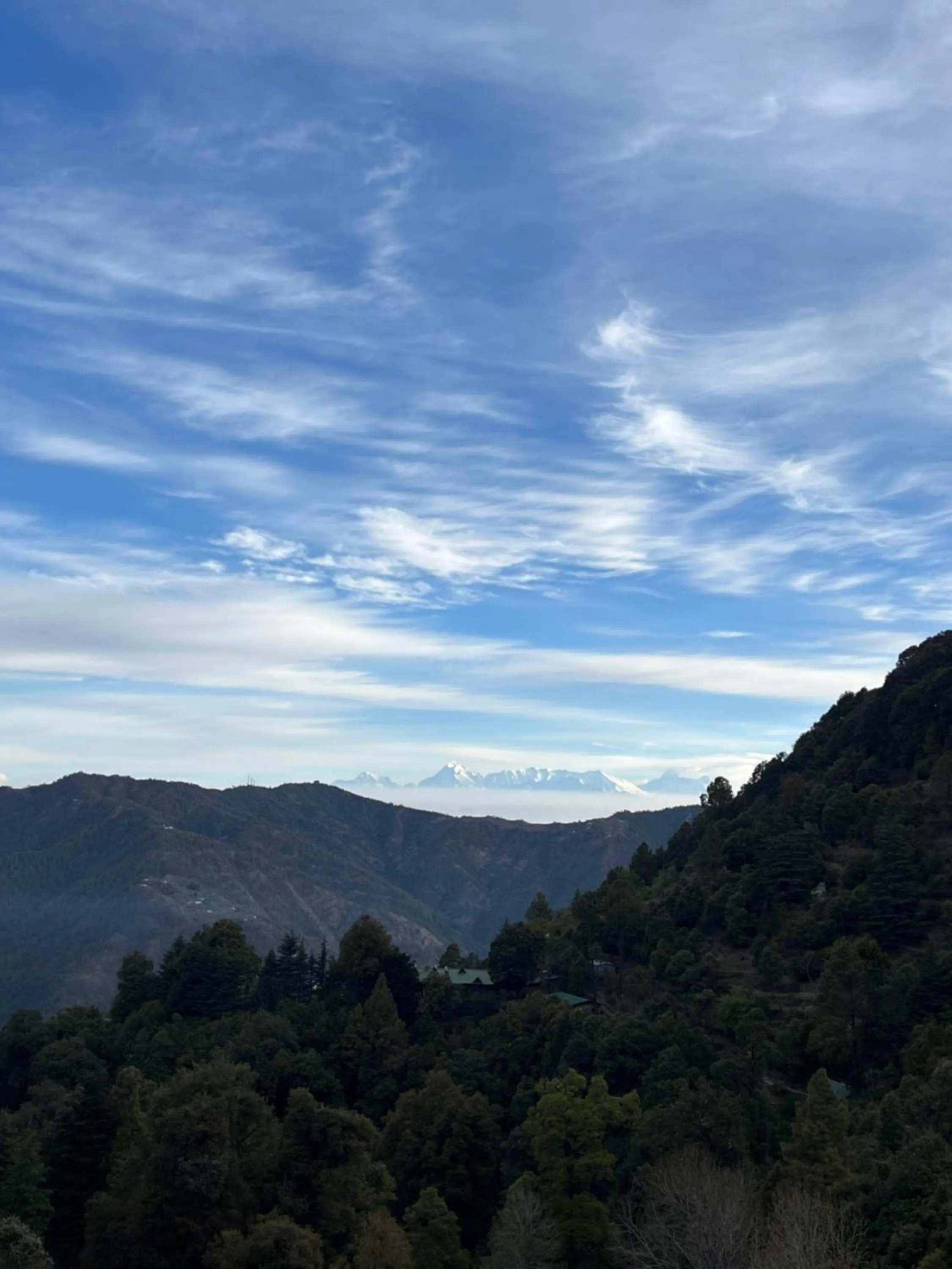 Natural landscape in Burans Kot Heritage Home - Ramgarh