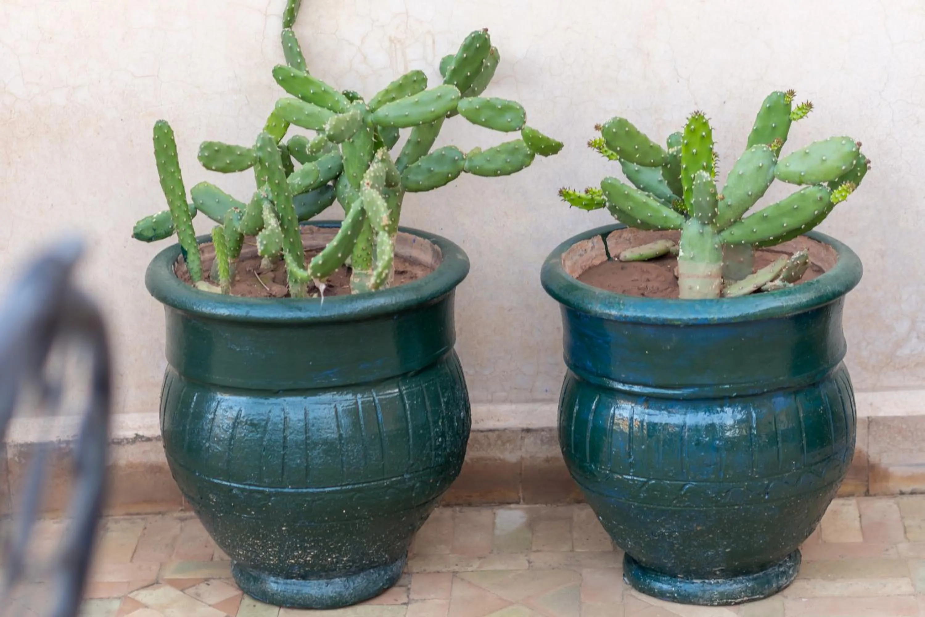 Balcony/Terrace in Riad Amalia