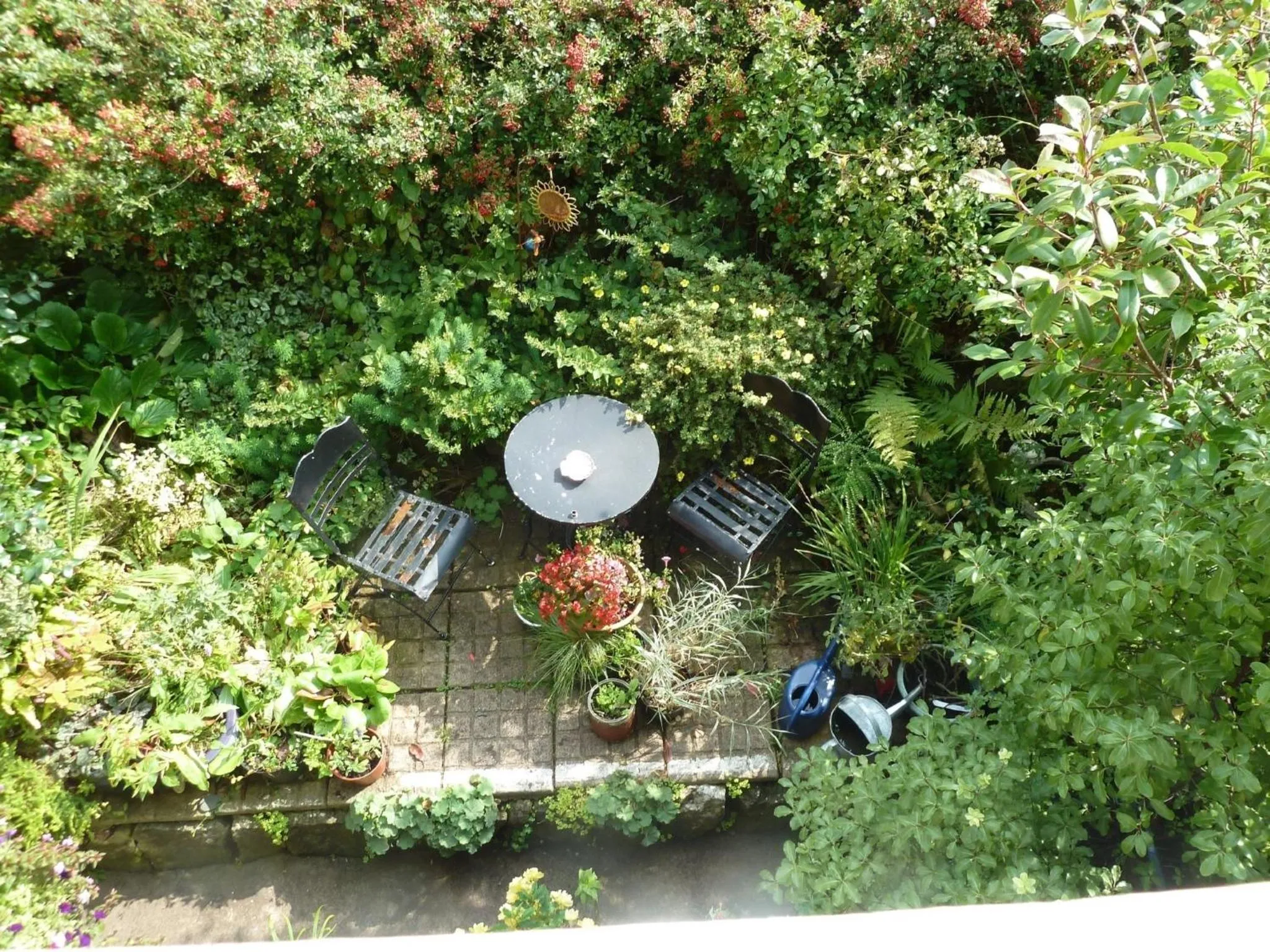 Garden in The Owls Crest House B&B