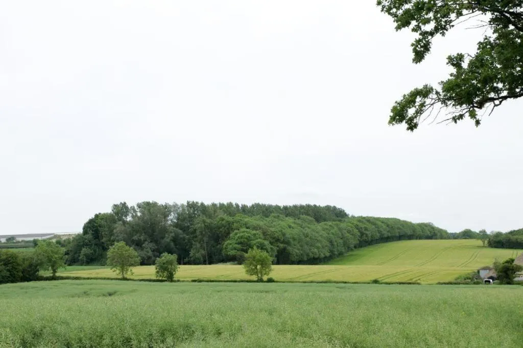 Garden in OYO 4 Sisters Inn