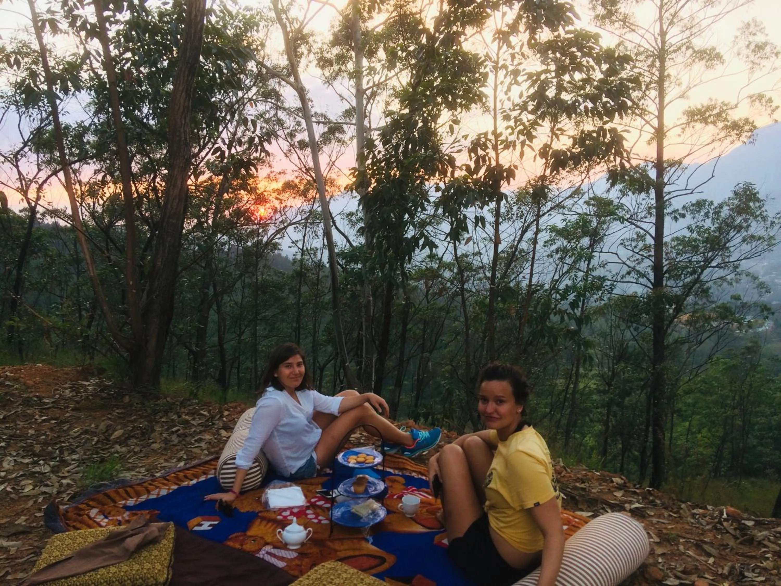 Activities in Tea Cottage Resort & Spa