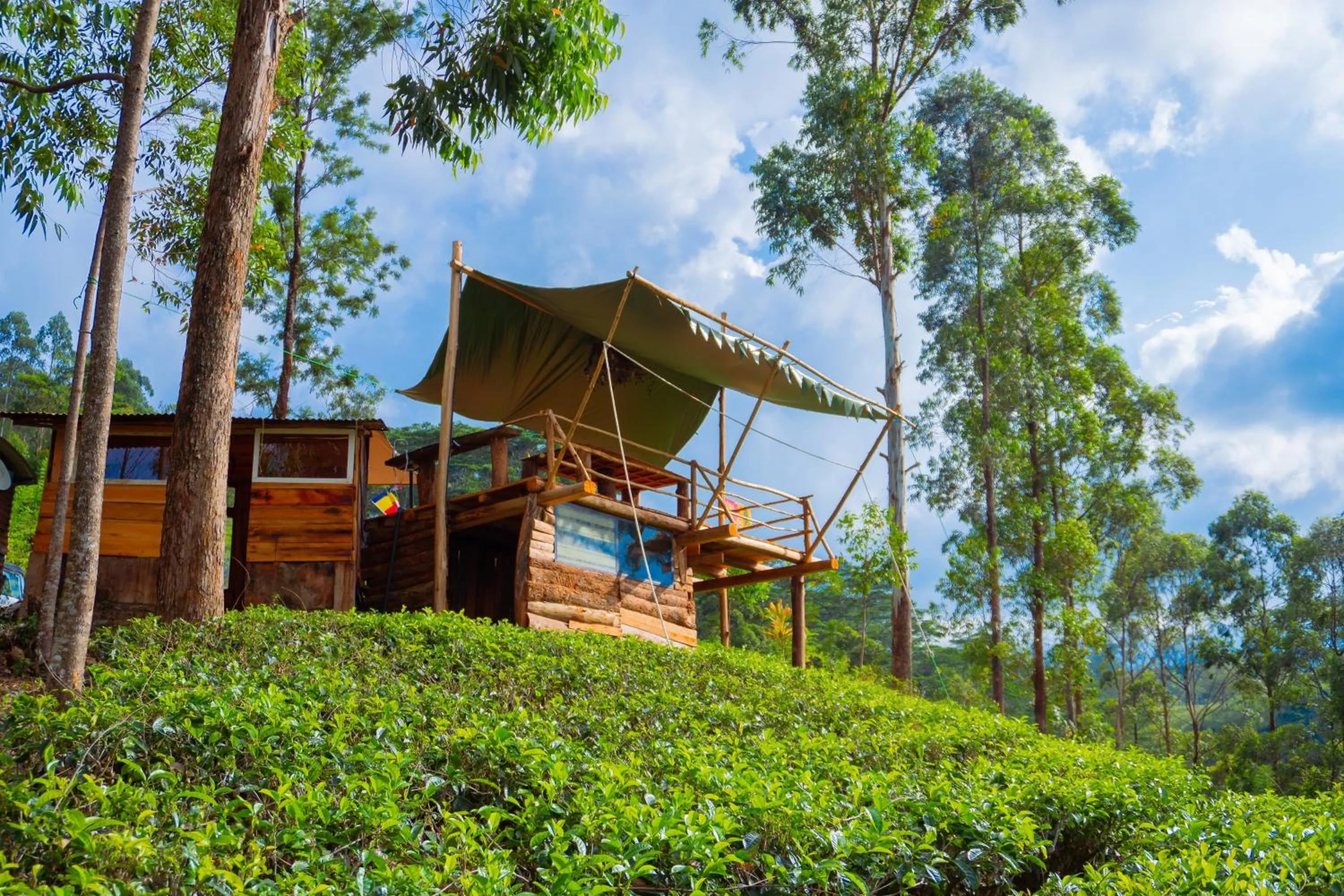 Restaurant/places to eat in Tea Cottage Resort & Spa