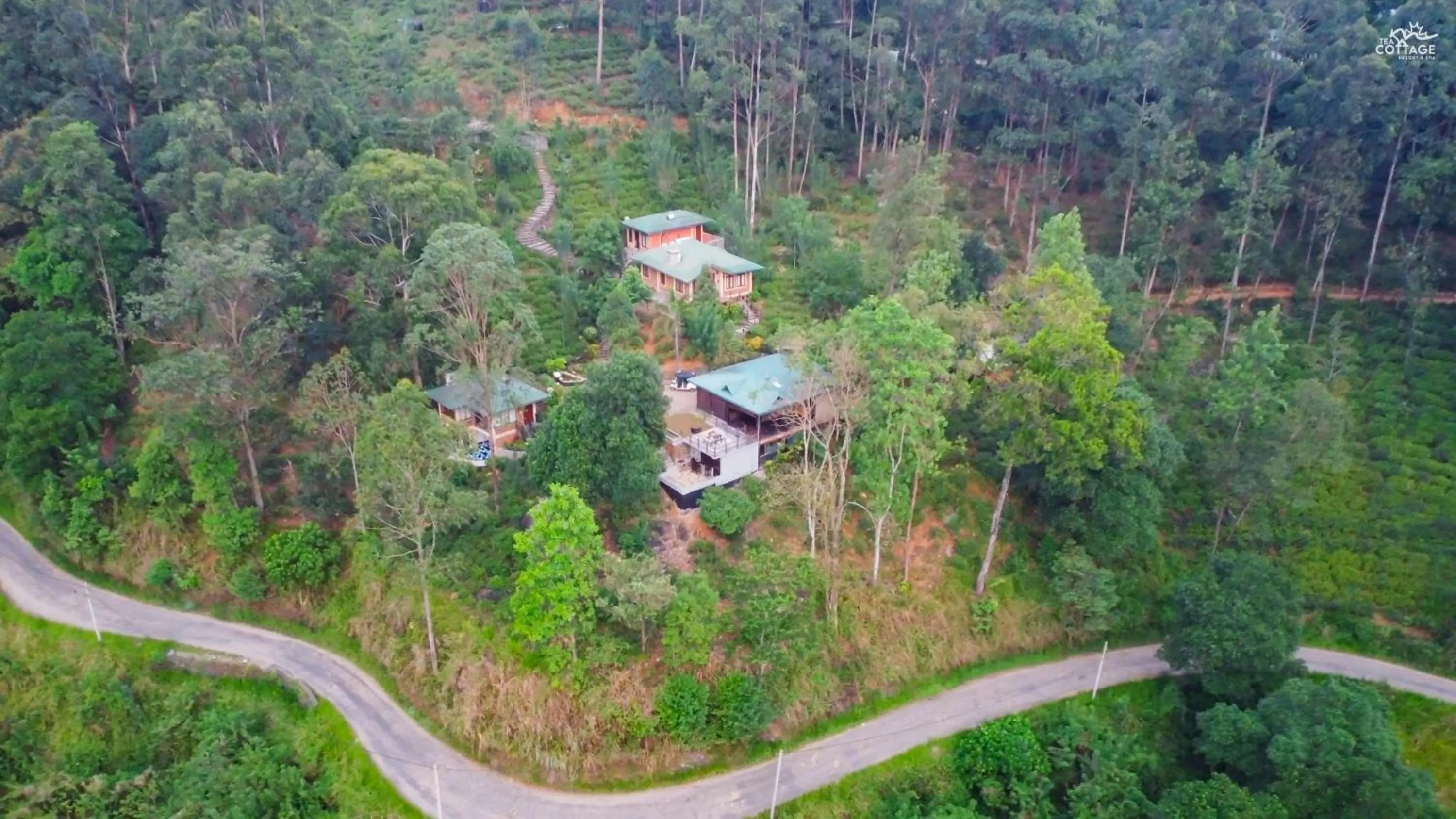 Natural landscape in Tea Cottage Resort & Spa