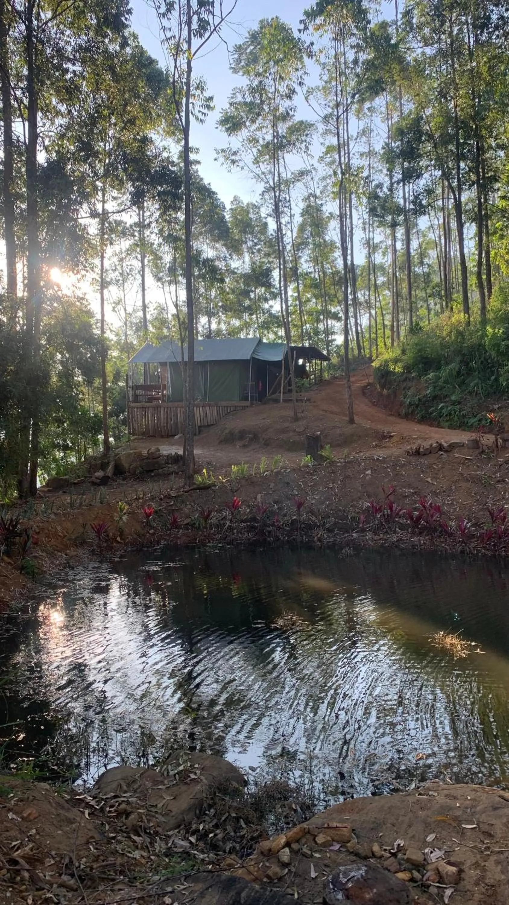 Day in Tea Cottage Resort & Spa