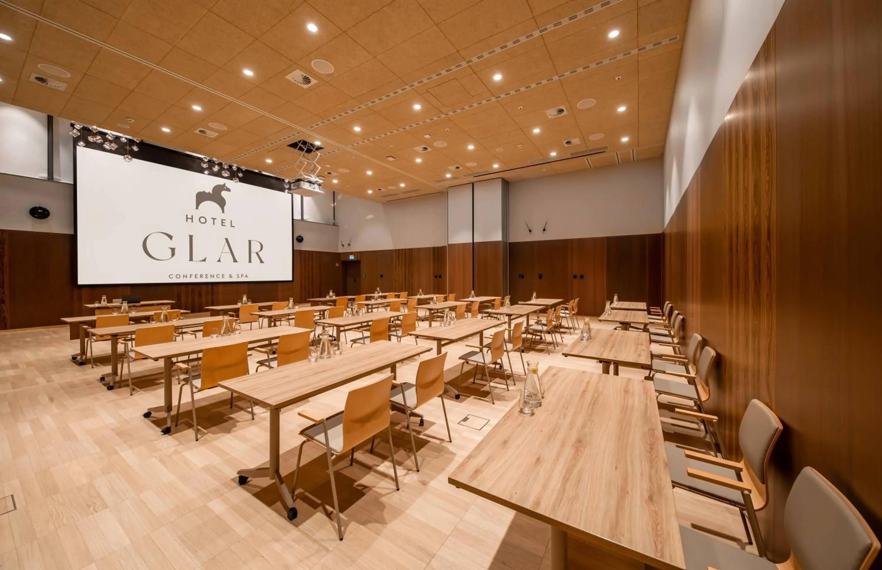 TV and multimedia in Hotel GLAR Conference & SPA