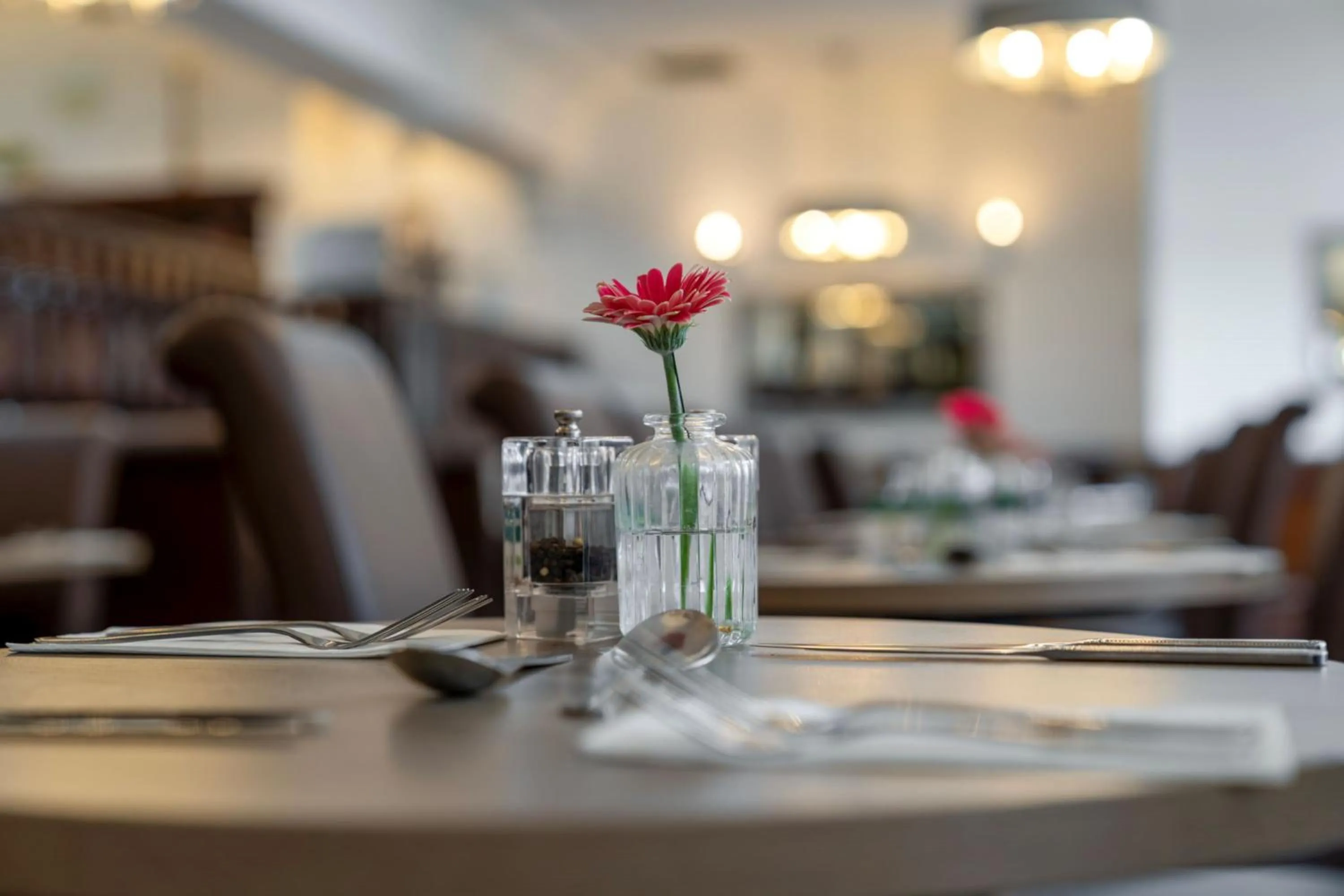 Restaurant/places to eat in Bosworth Hall Hotel & Spa