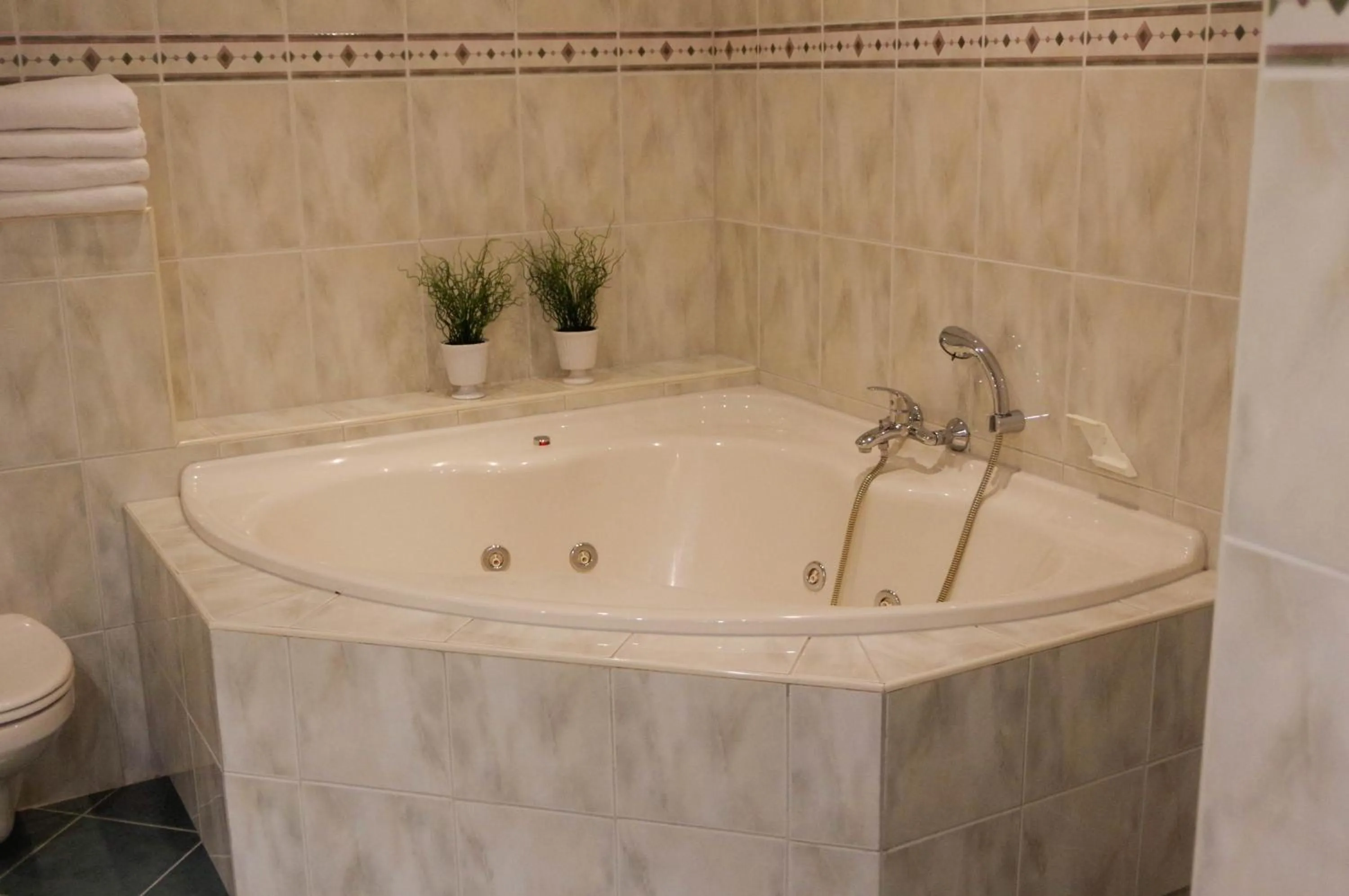 Hot Spring Bath in Hotel and Restaurant van Saaze