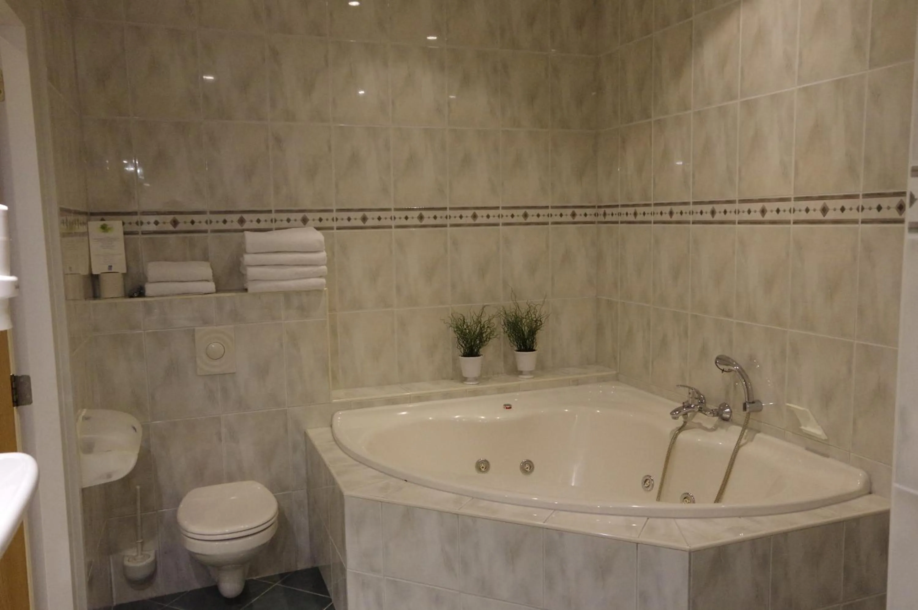 Hot Spring Bath in Hotel and Restaurant van Saaze