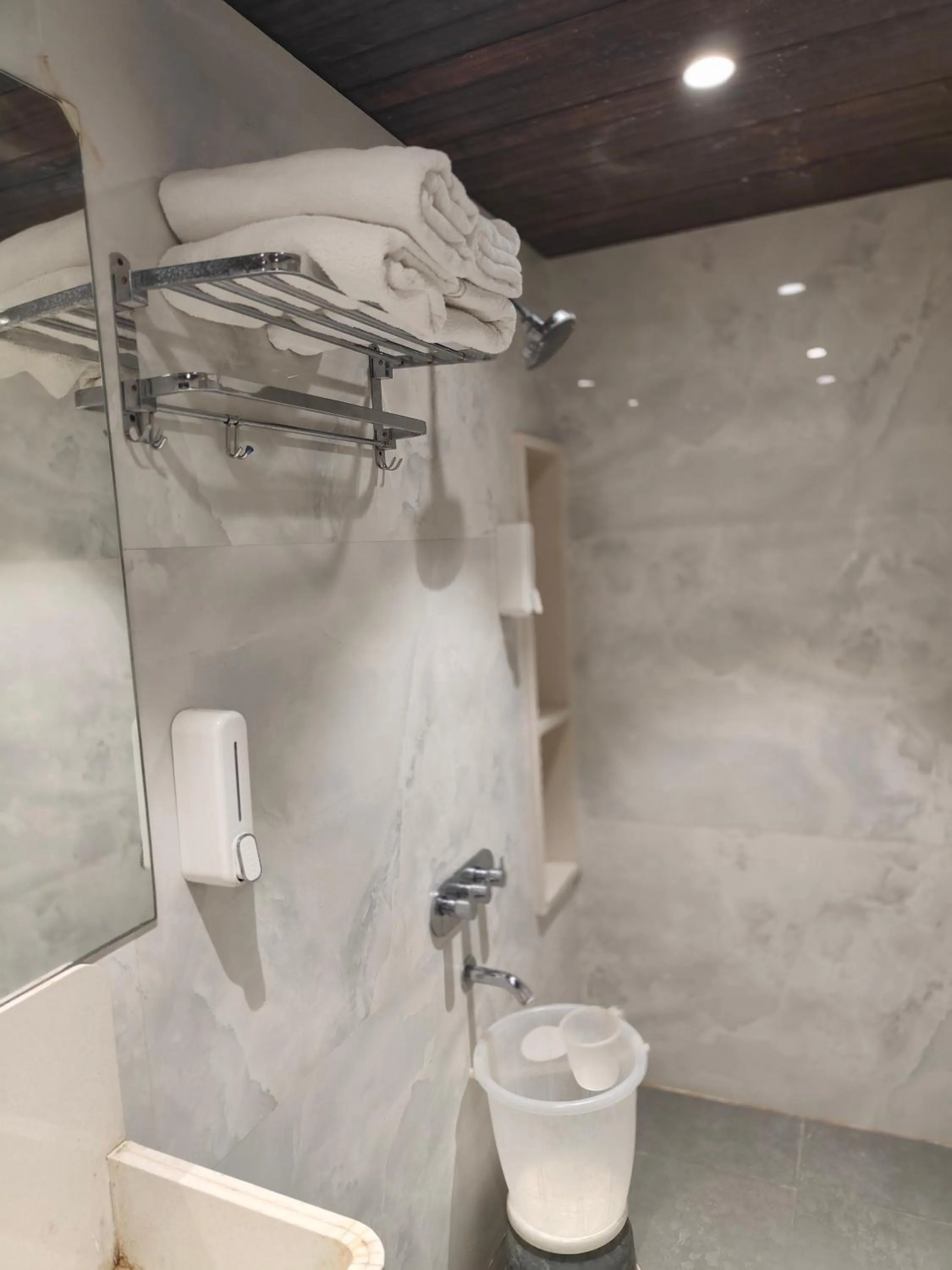 Shower in Hotel Shirdi Park Inn 80 Meters From Sai Samadhi Temple