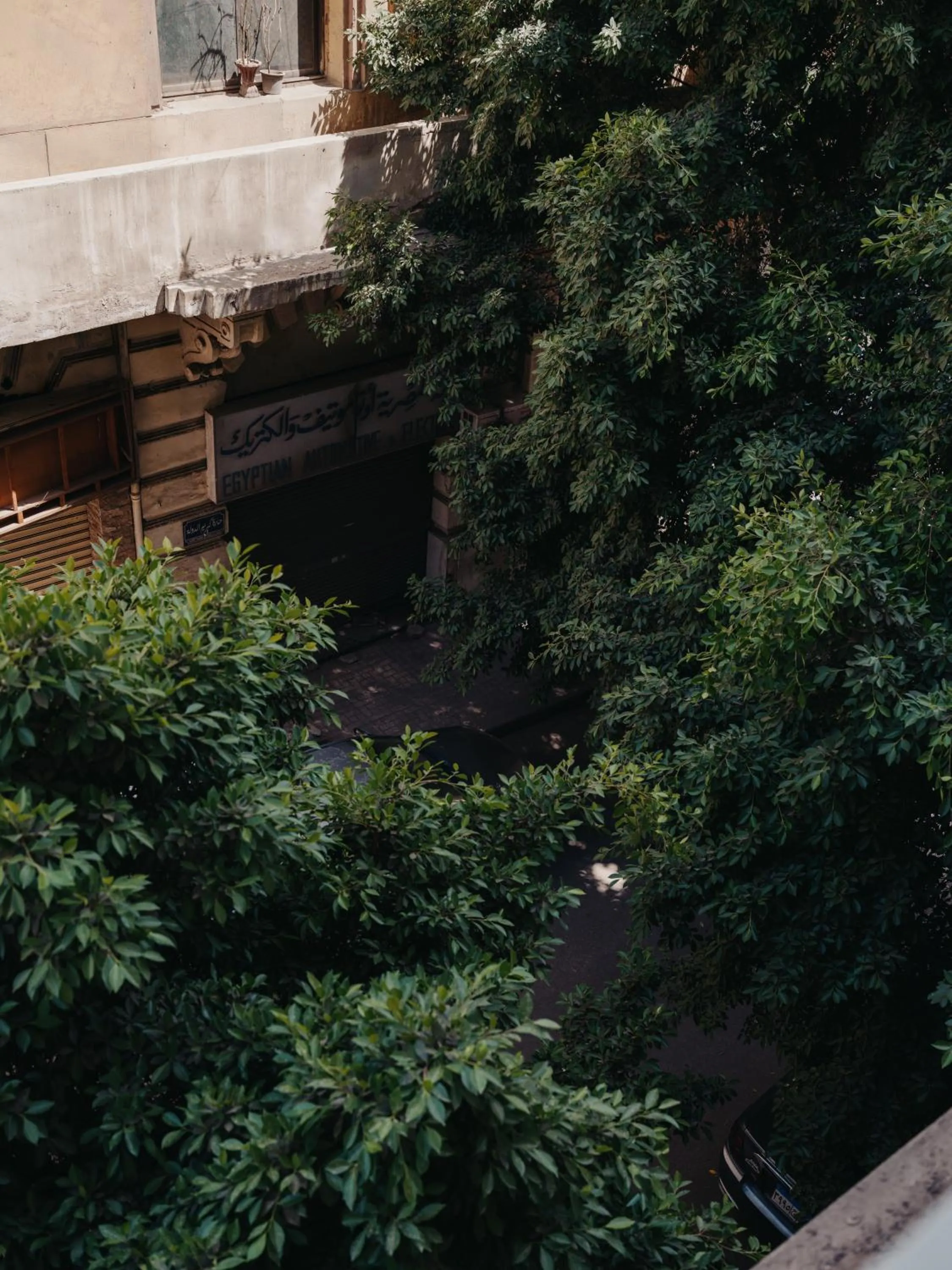 Brassbell l DT l Hannaux l Tahrir sq