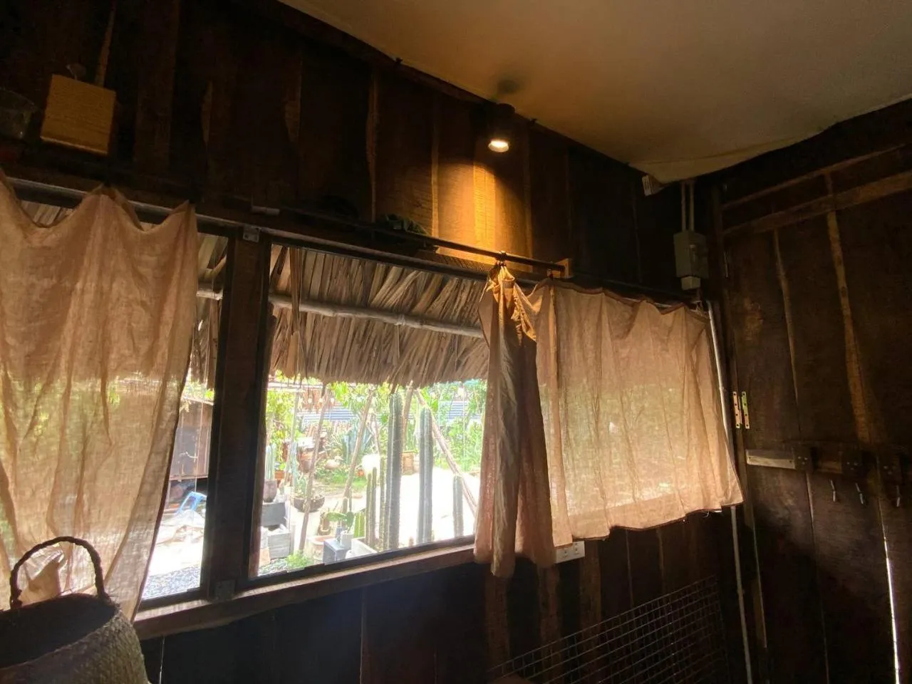 Garden view in Cactos Chill & Homestay