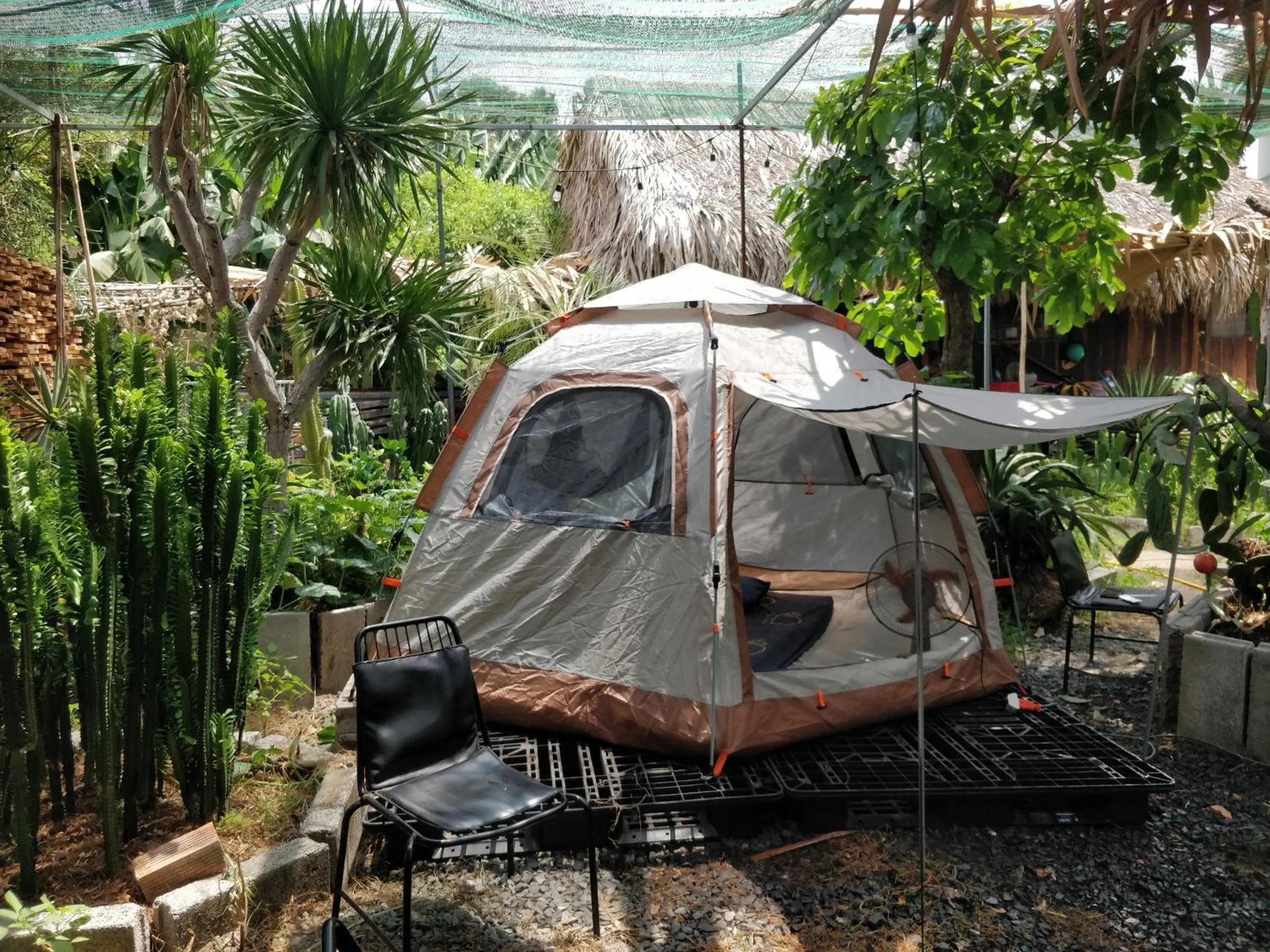 Natural landscape in Cactos Chill & Homestay