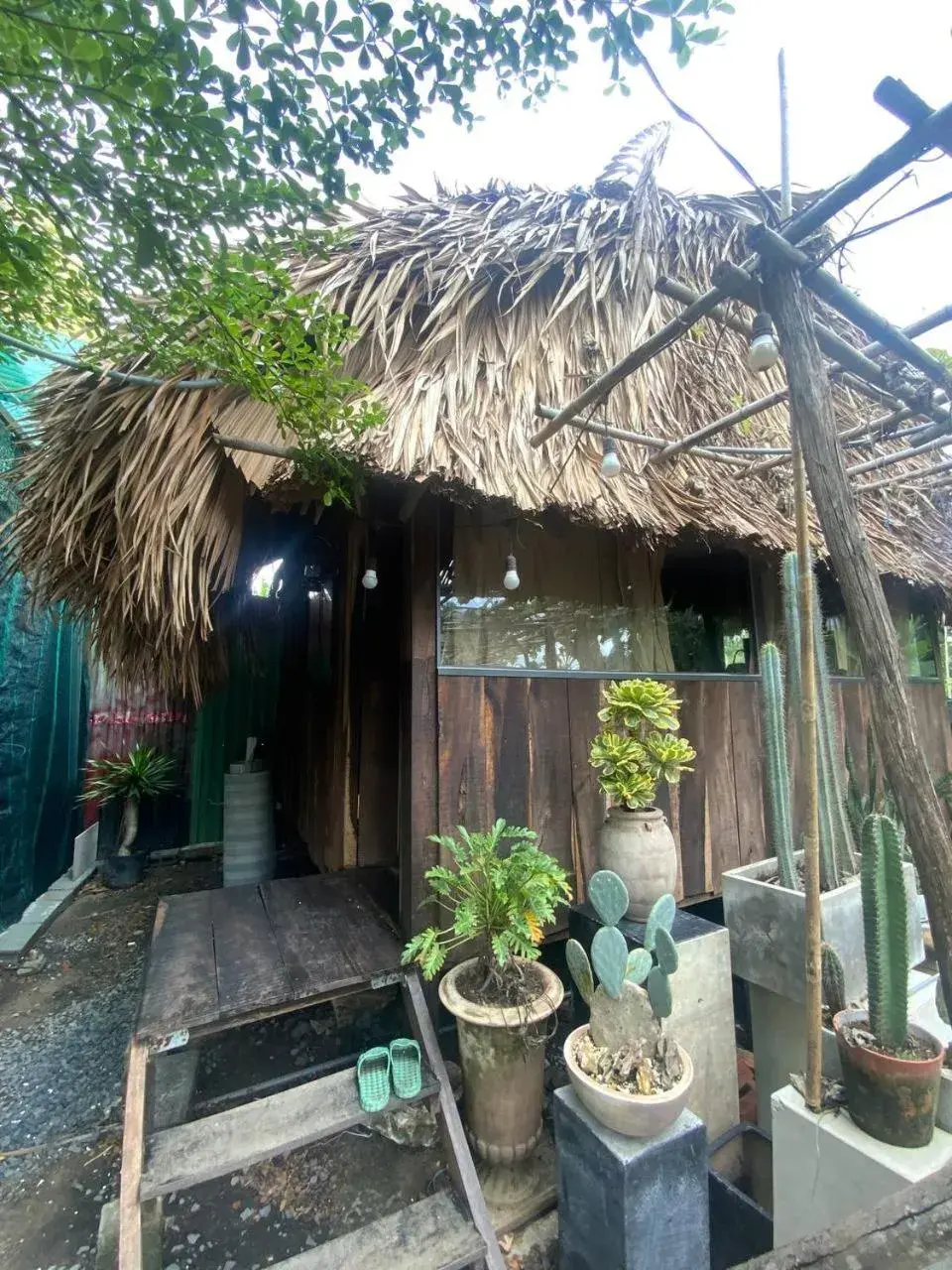 Deluxe Bungalow with Garden View in Cactos Chill & Homestay Deluxe Bungalow with Garden View in Cactos Chill & Homestay