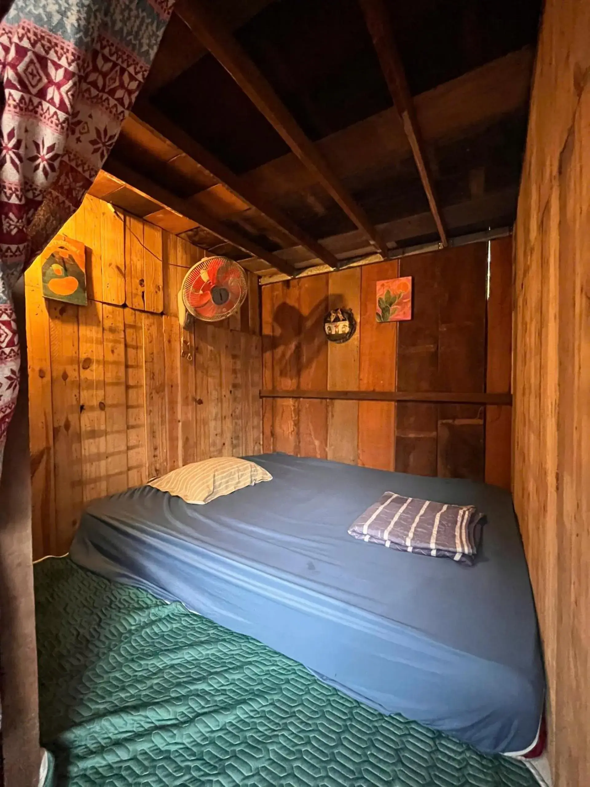 Double Room with Garden View in Cactos Chill & Homestay Double Room with Garden View in Cactos Chill & Homestay