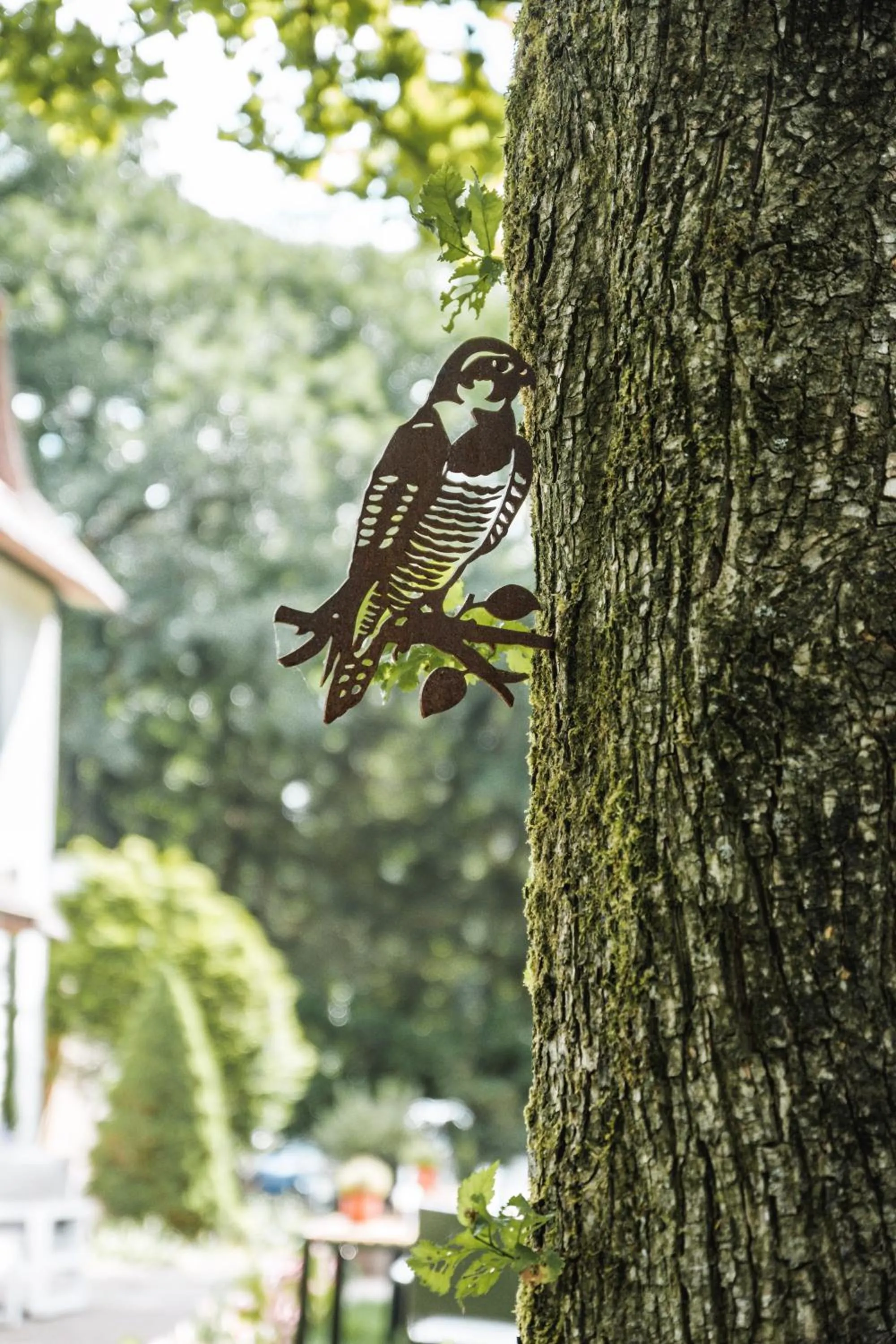 Balcony/Terrace in Witte Berken Natuurhotel