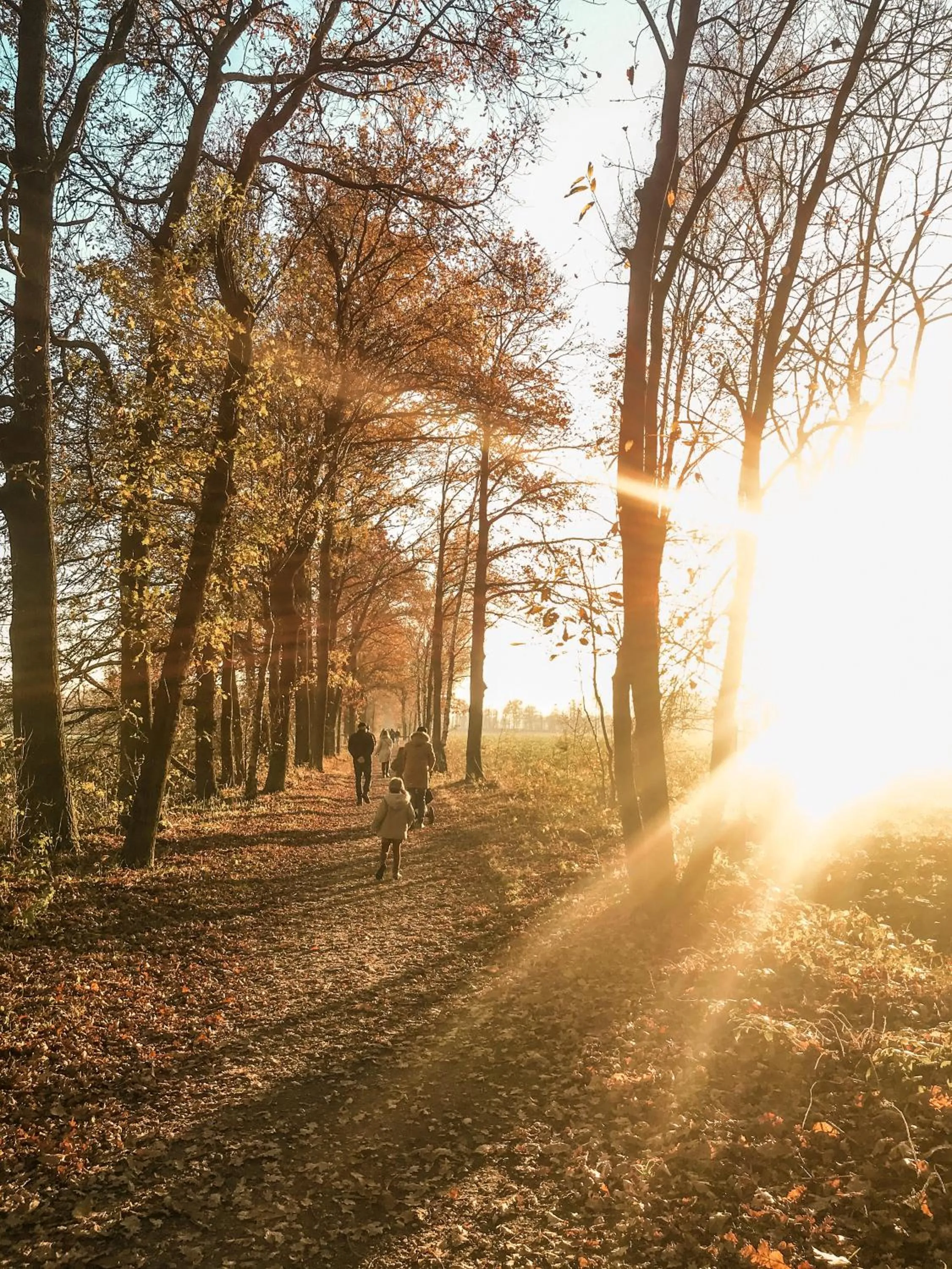 Natural landscape in Witte Berken Natuurhotel