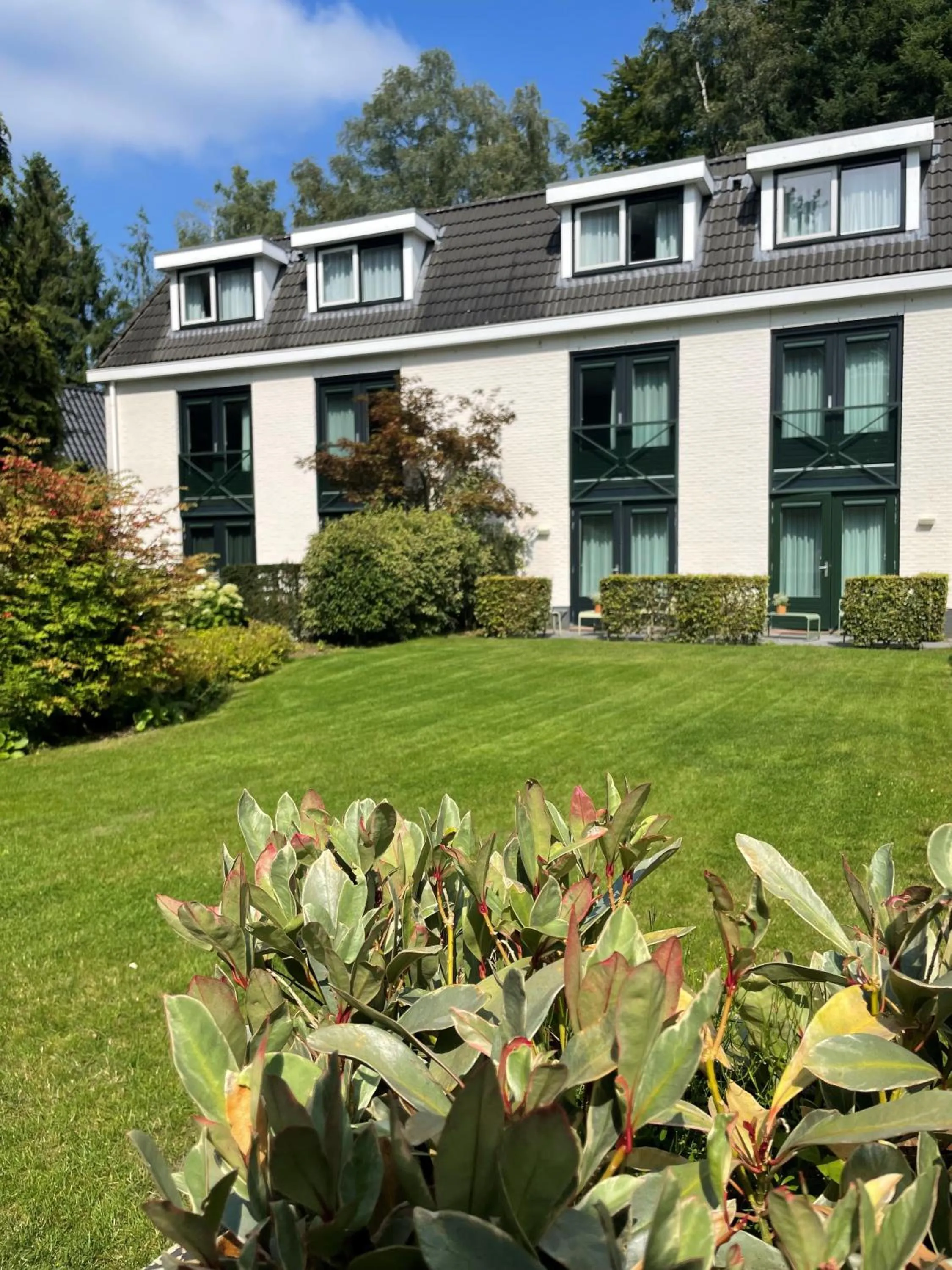 Garden in Witte Berken Natuurhotel