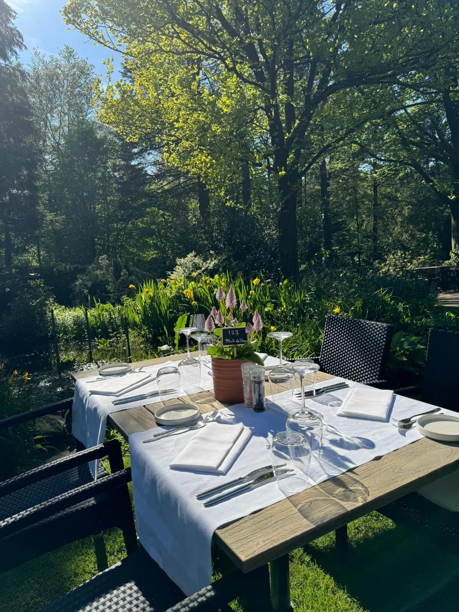 Restaurant/places to eat in Witte Berken Natuurhotel