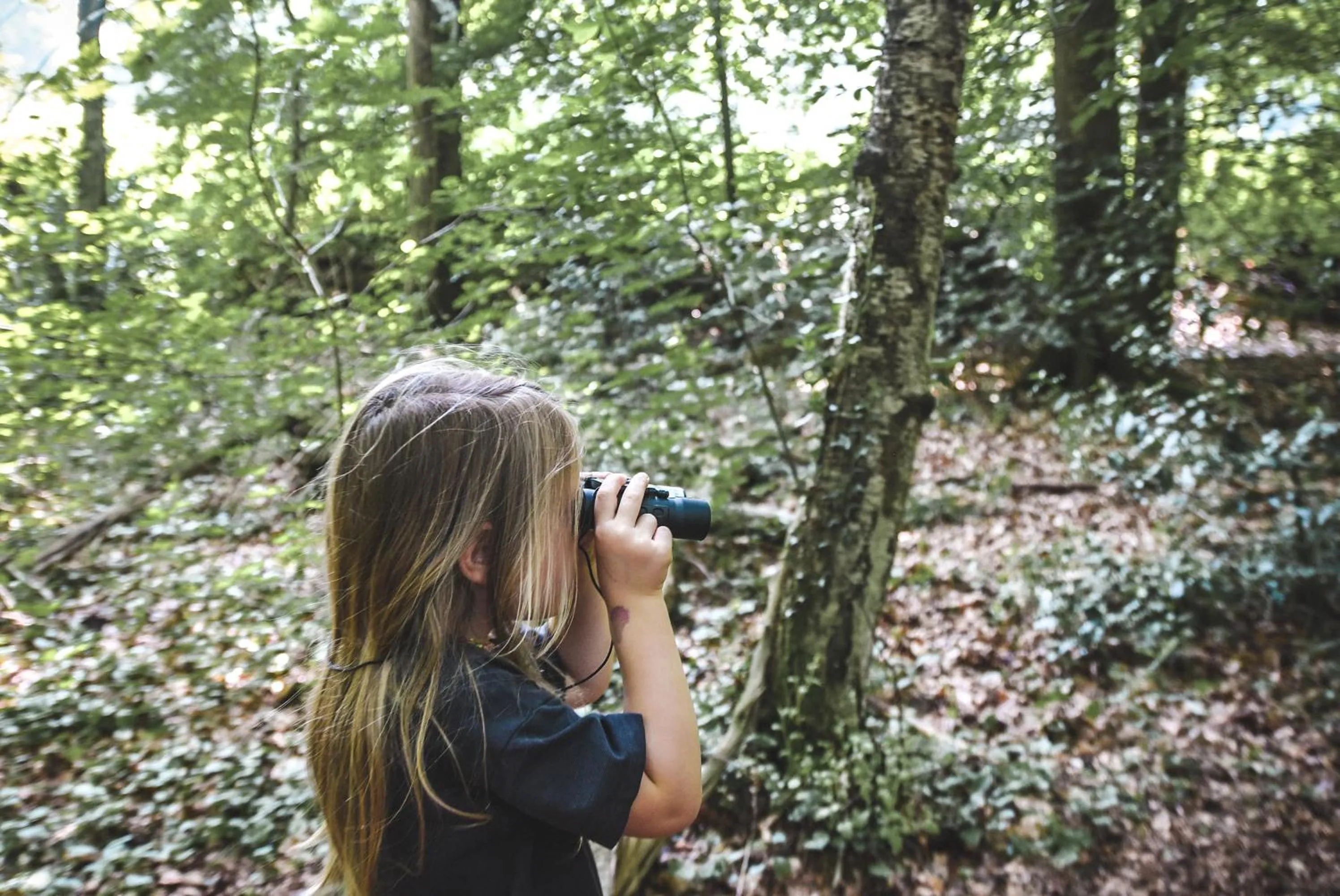 Natural landscape in Witte Berken Natuurhotel