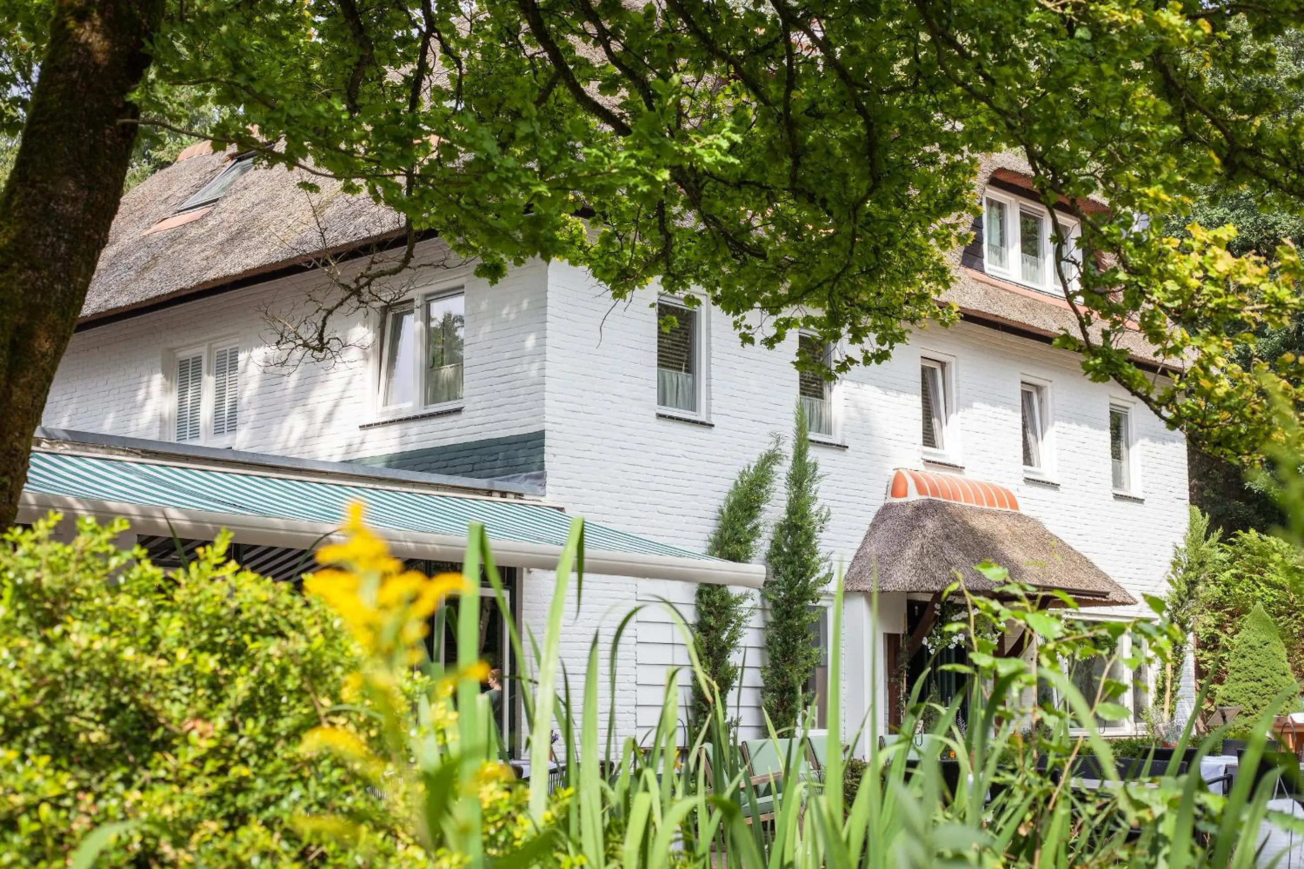 Property building in Witte Berken Natuurhotel