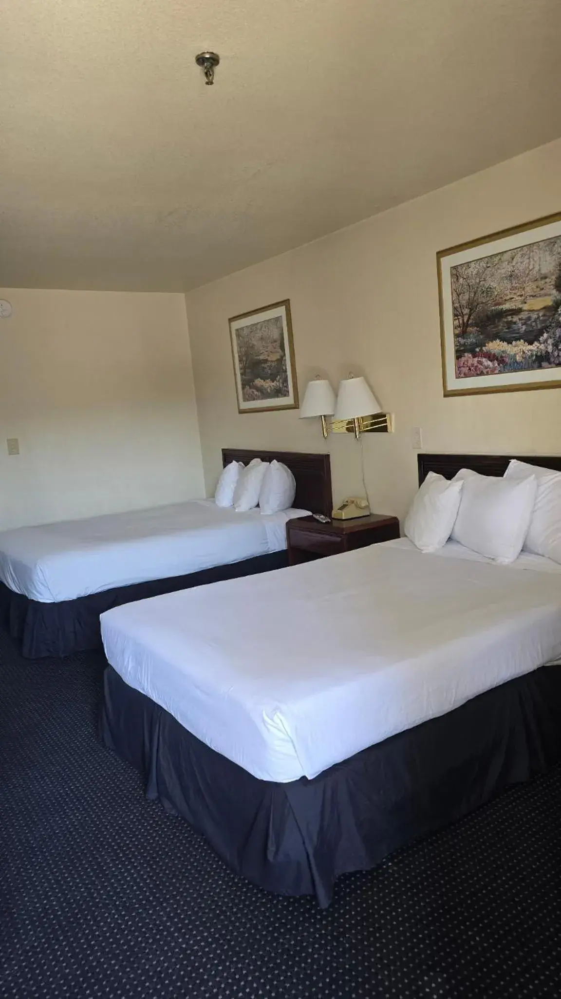 Queen Room in Terrace Inn and Suites Queen Room in Terrace Inn and Suites