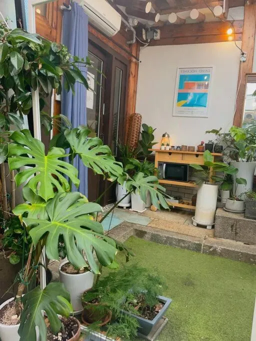 Garden in Bibimbap Hanok Guesthouse Gyeongbokgung