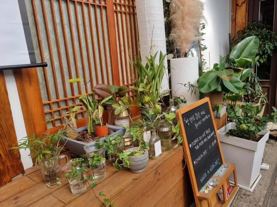 Garden in Bibimbap Hanok Guesthouse Gyeongbokgung