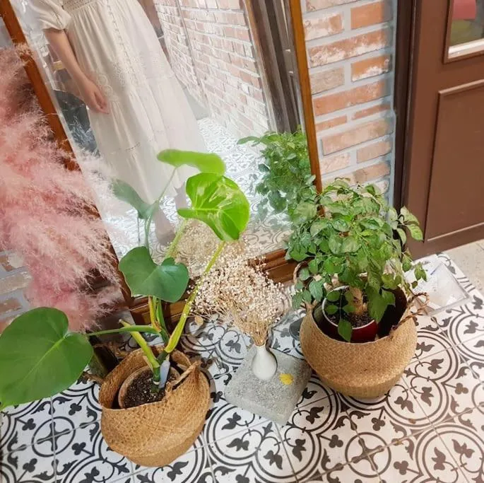 Bibimbap Hanok Guesthouse Gyeongbokgung