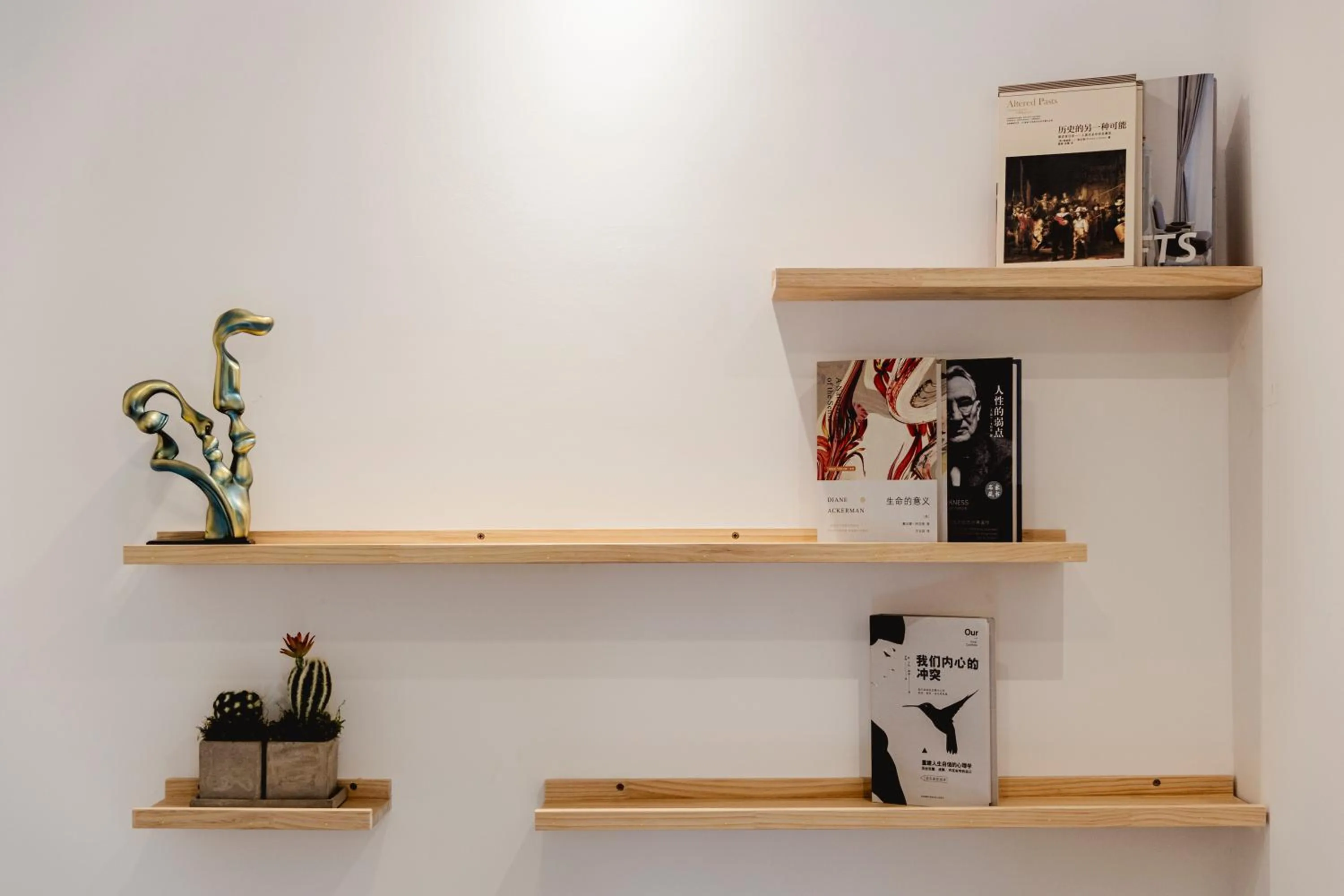 Library in La Cozii TK