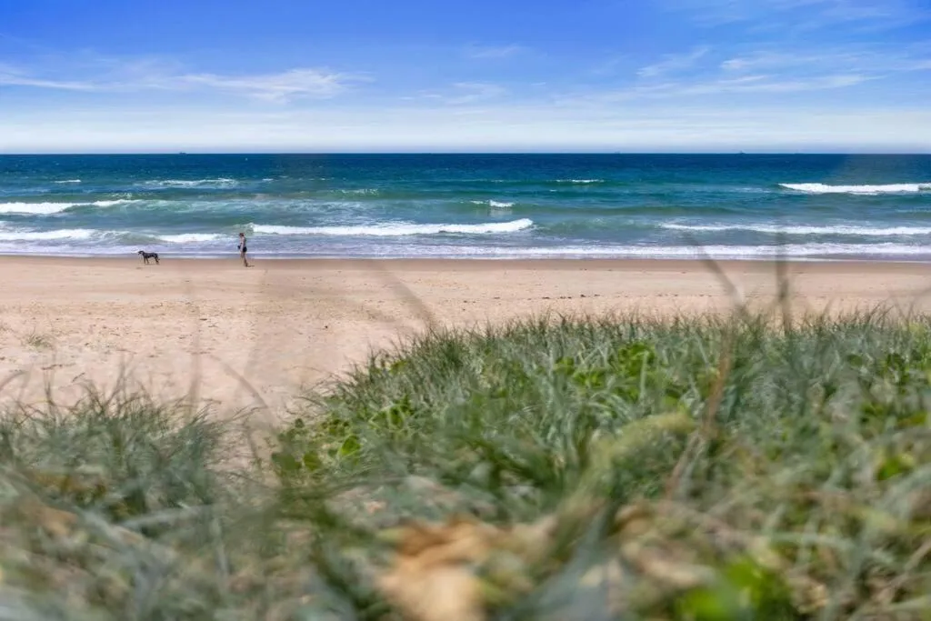 Nearby landmark in Luxury on the Beach Surfside Resort -Sunshine Coast