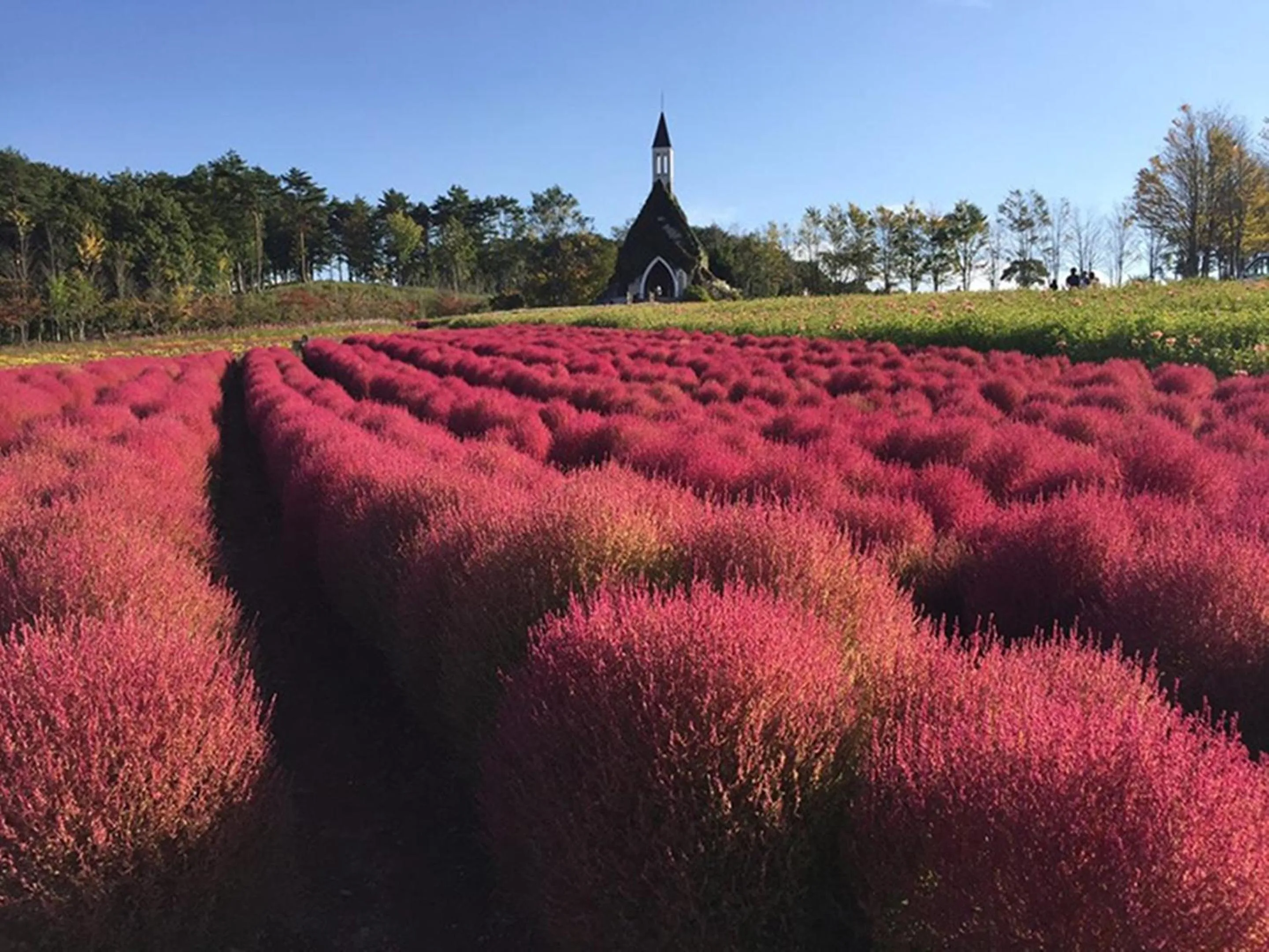 Nearby landmark in Nagomiya Hirugano