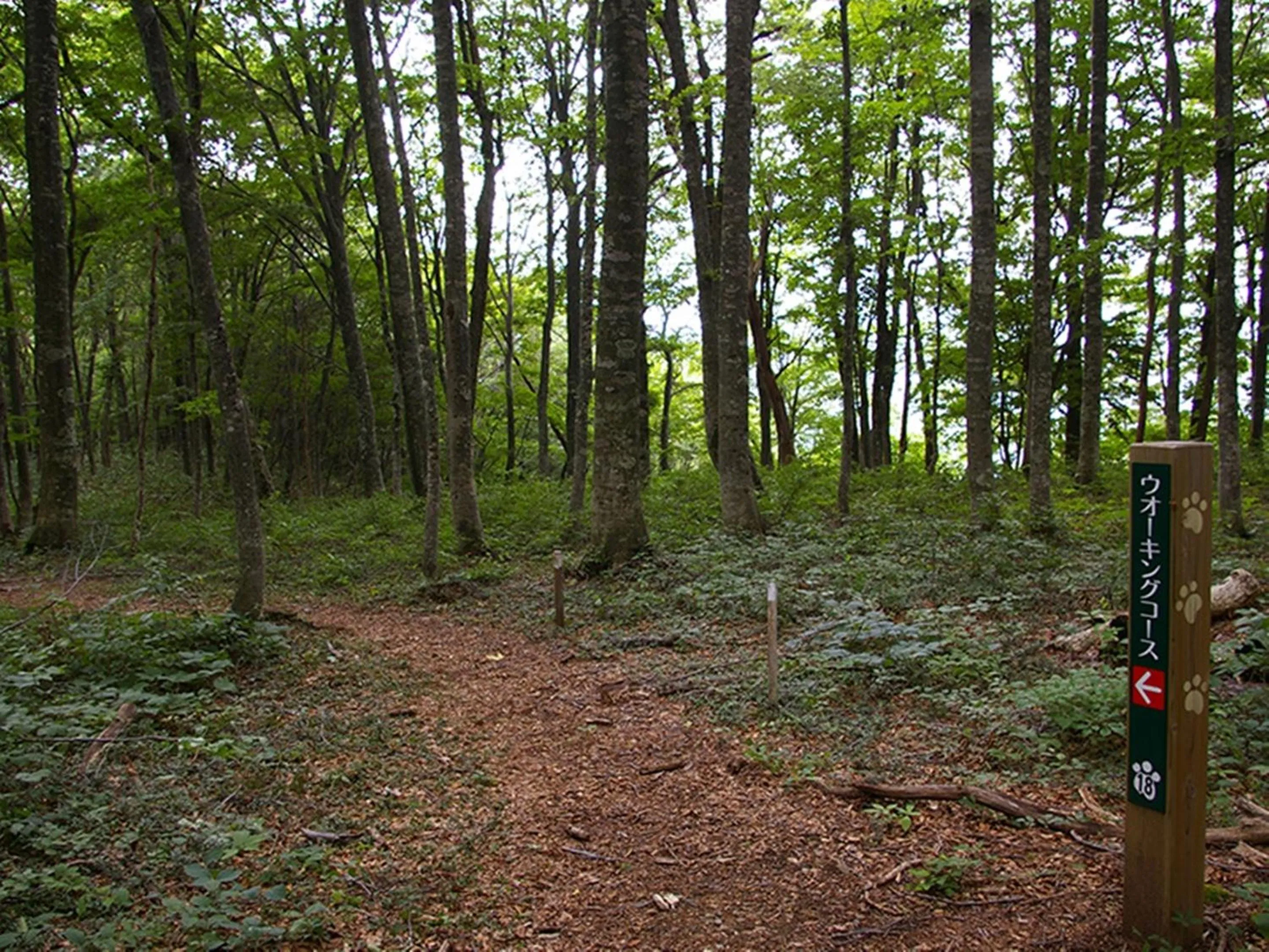 Off site in Nagomiya Hirugano