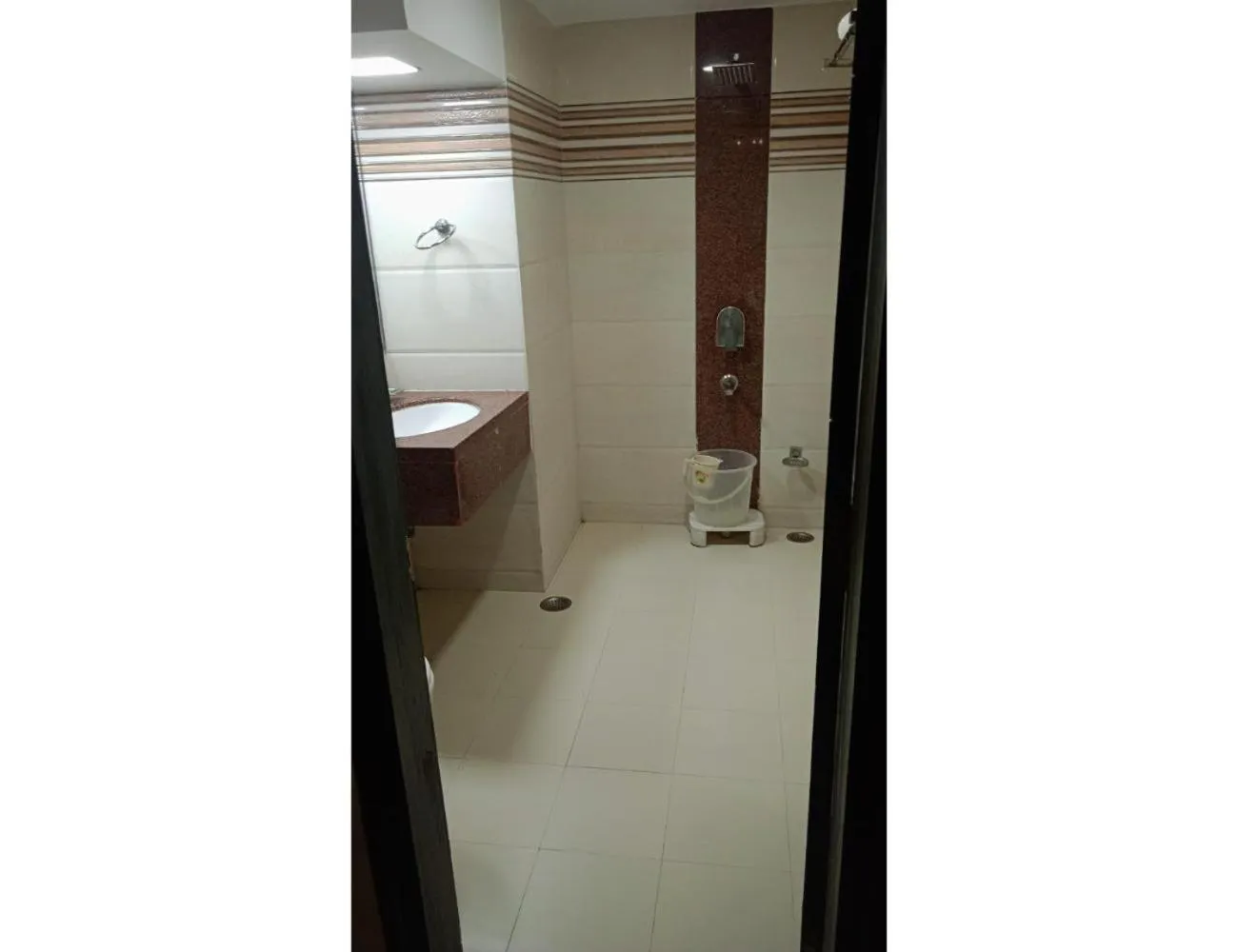 Shower in Hotel Blue Sapphire, Agra