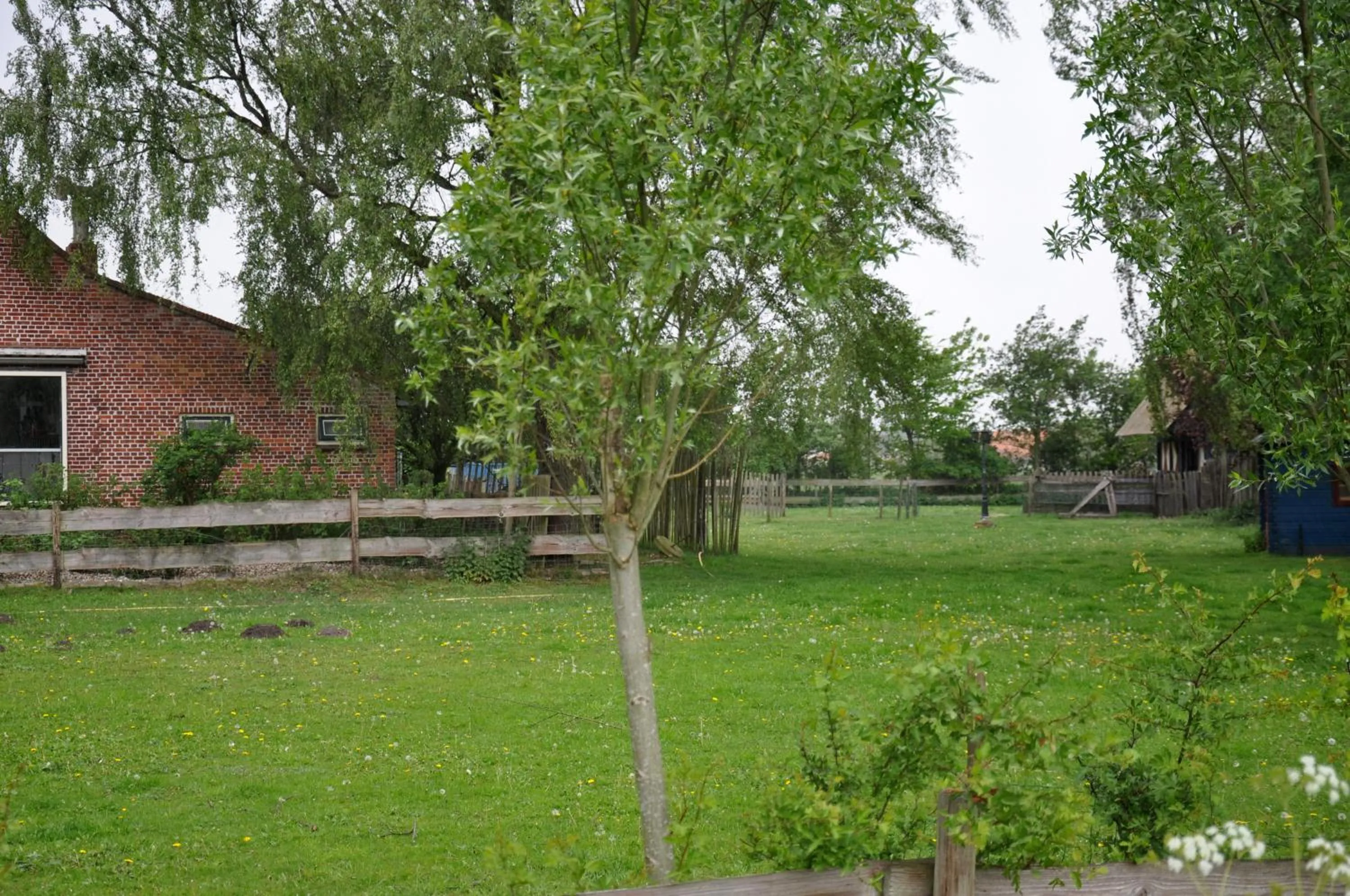 Garden in B&B Kelpiebrink