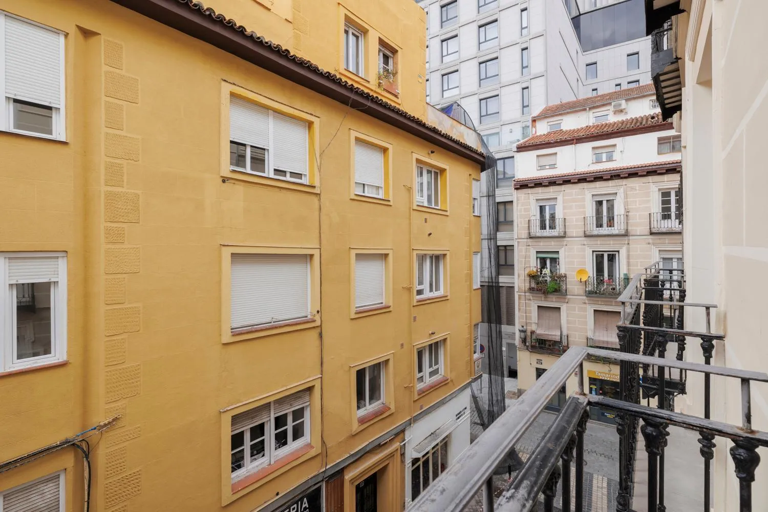 Property building in Fomento by Wynwood House