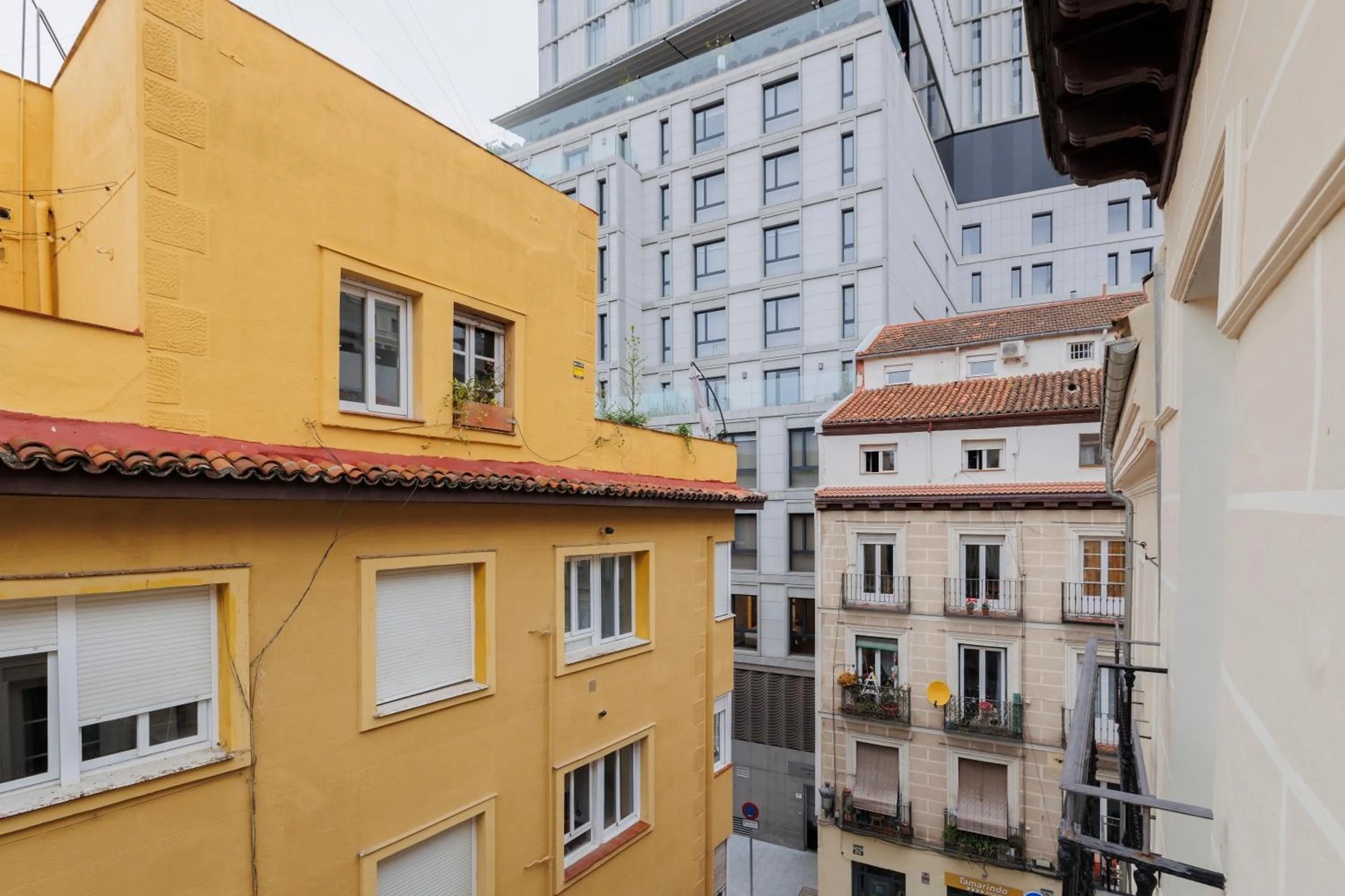 Property building in Fomento by Wynwood House