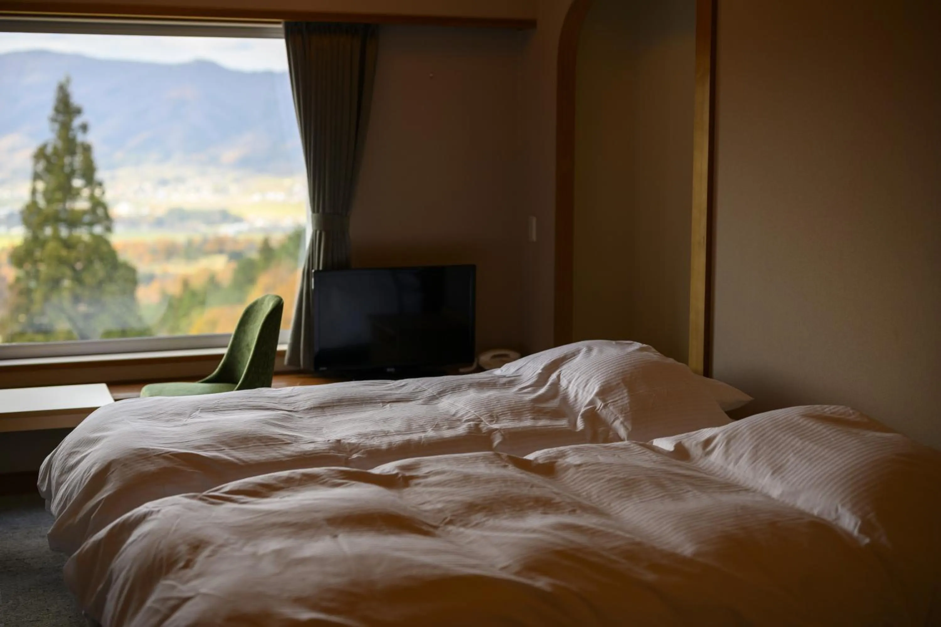 Photo of the whole room in HOKURYUKO HOTEL North NAGANO