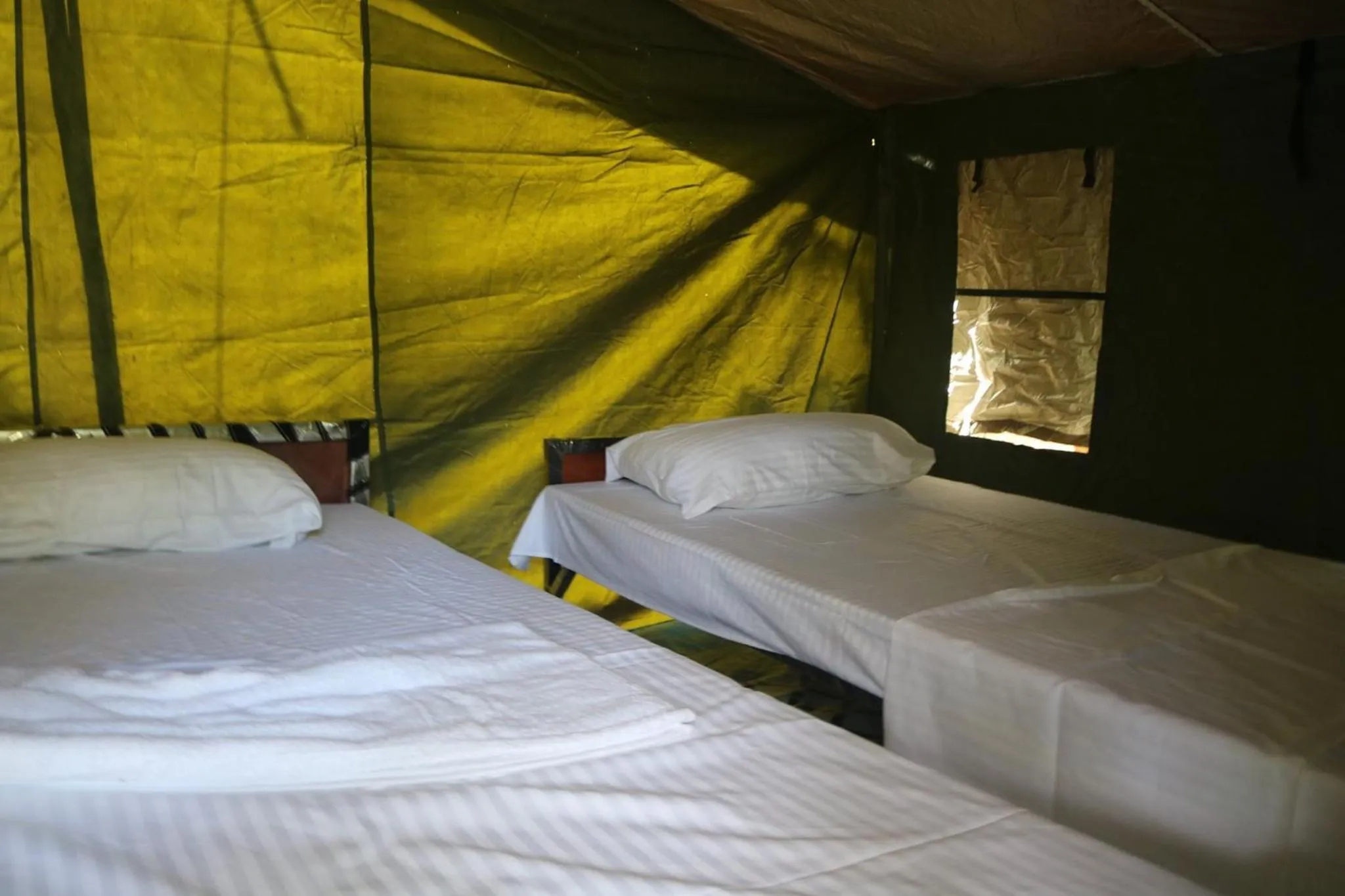 Bed in Dev's Campground