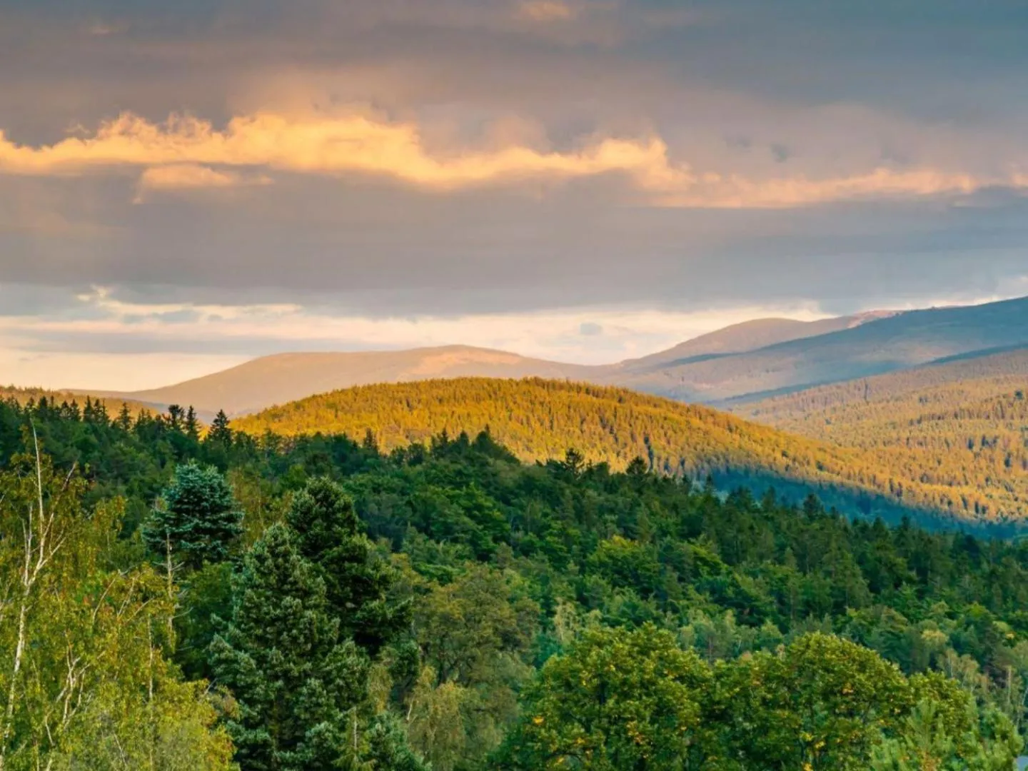 View (from property/room) in Happy Valley Resort Szklarska Poręba