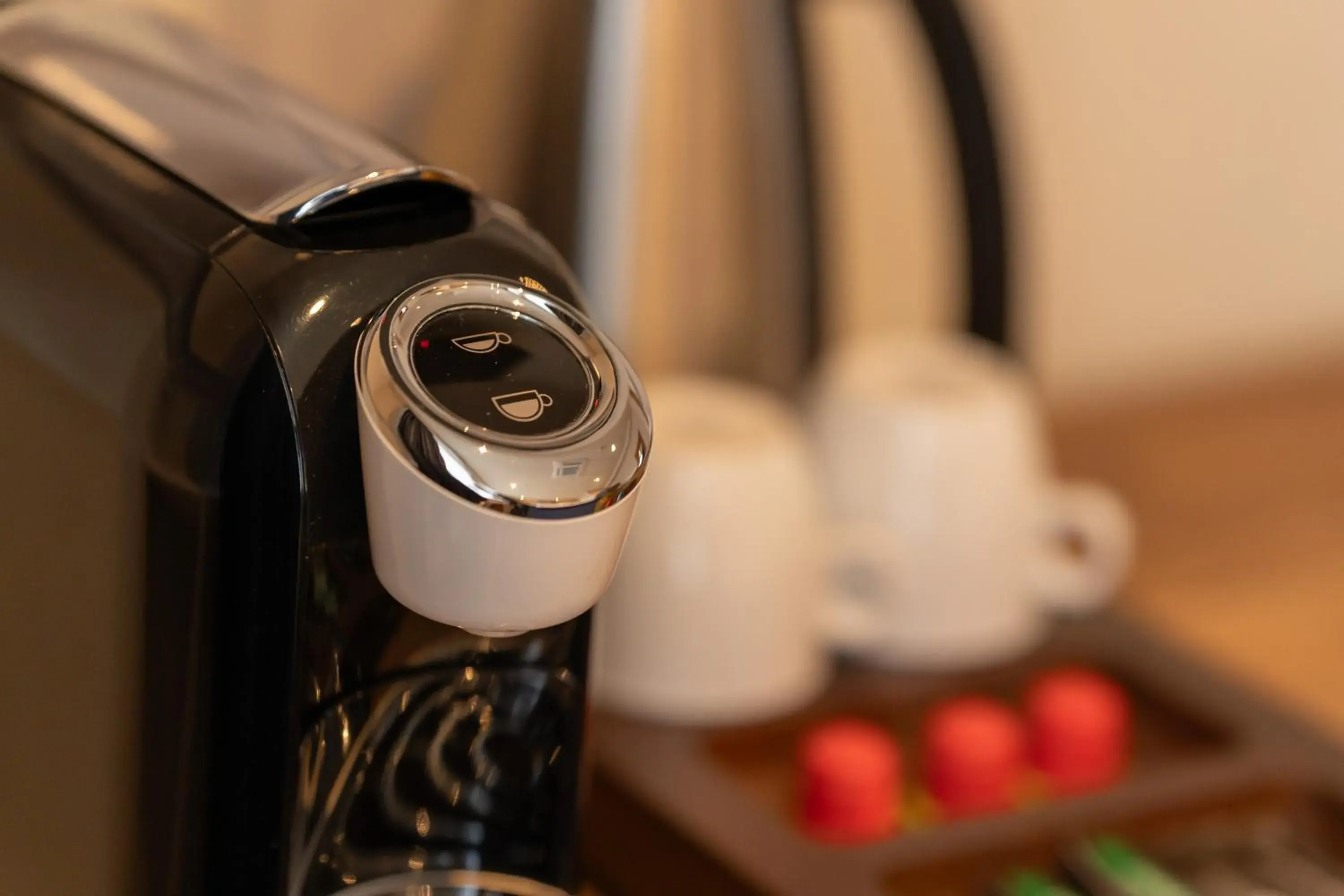 Double Room - single occupancy in Hotel de Gulden Leeuw Double Room - single occupancy in Hotel de Gulden Leeuw