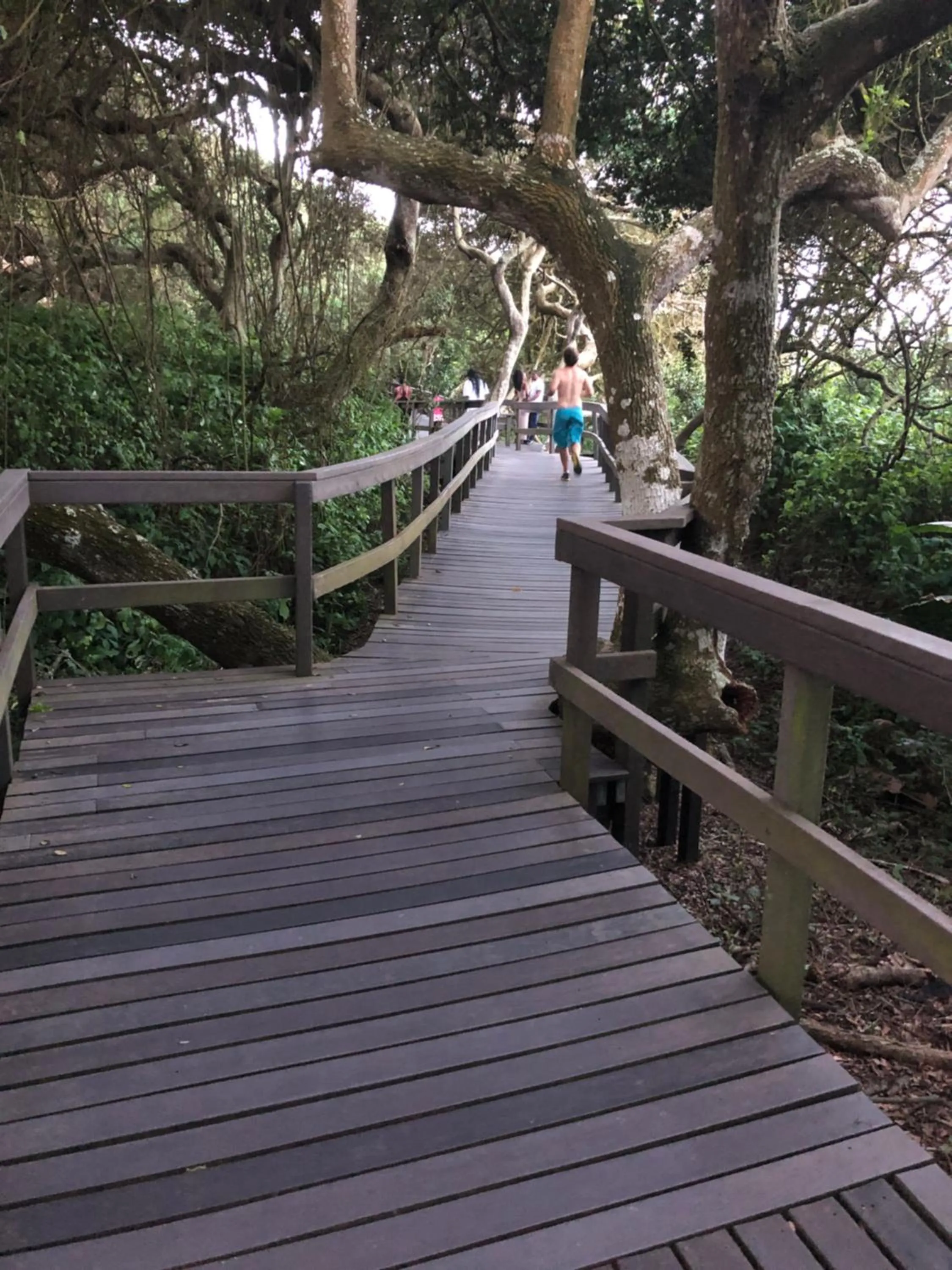 Day in Breakers Resort, Umhlanga, 232