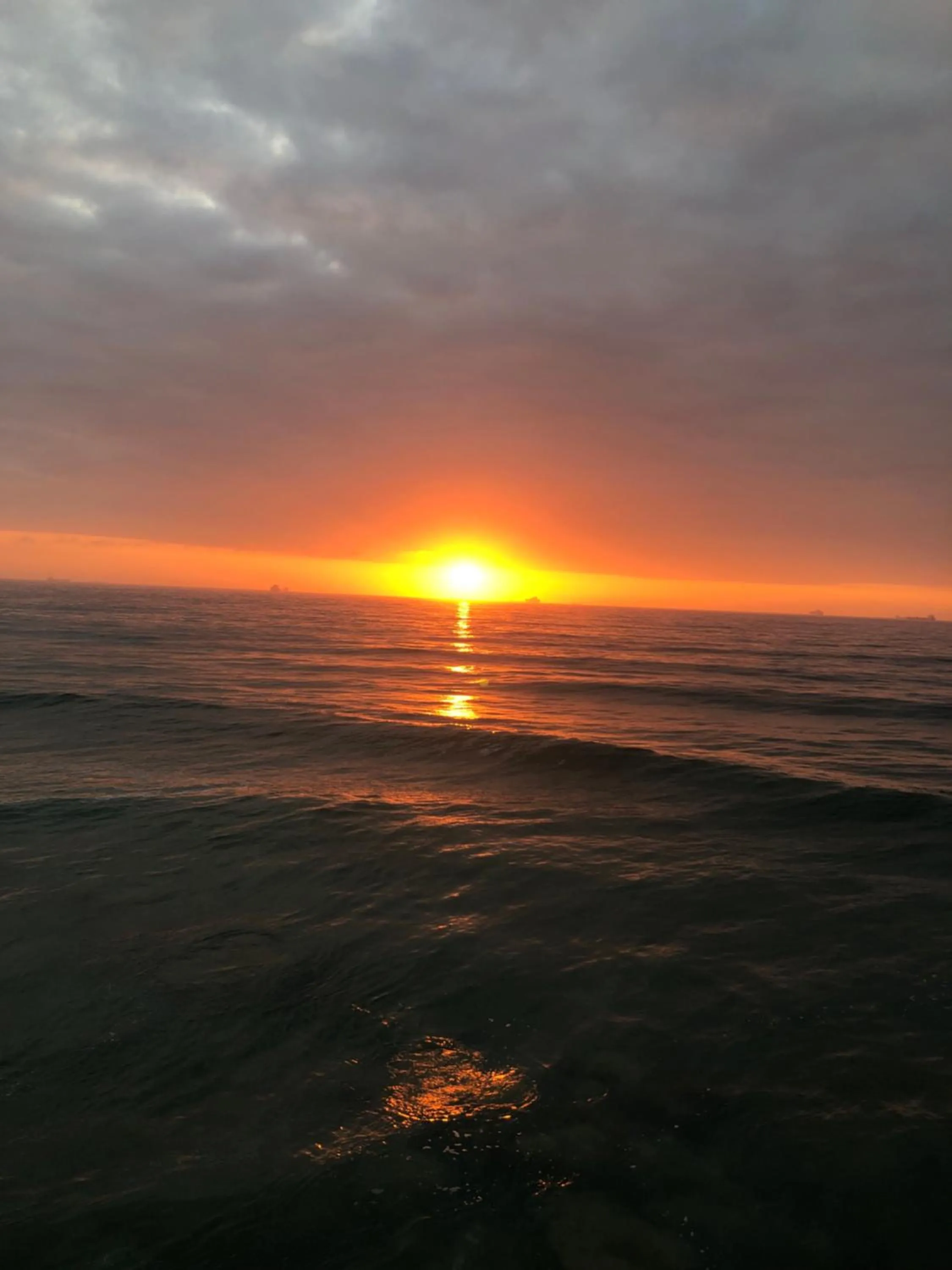 Natural landscape in Breakers Resort, Umhlanga, 232