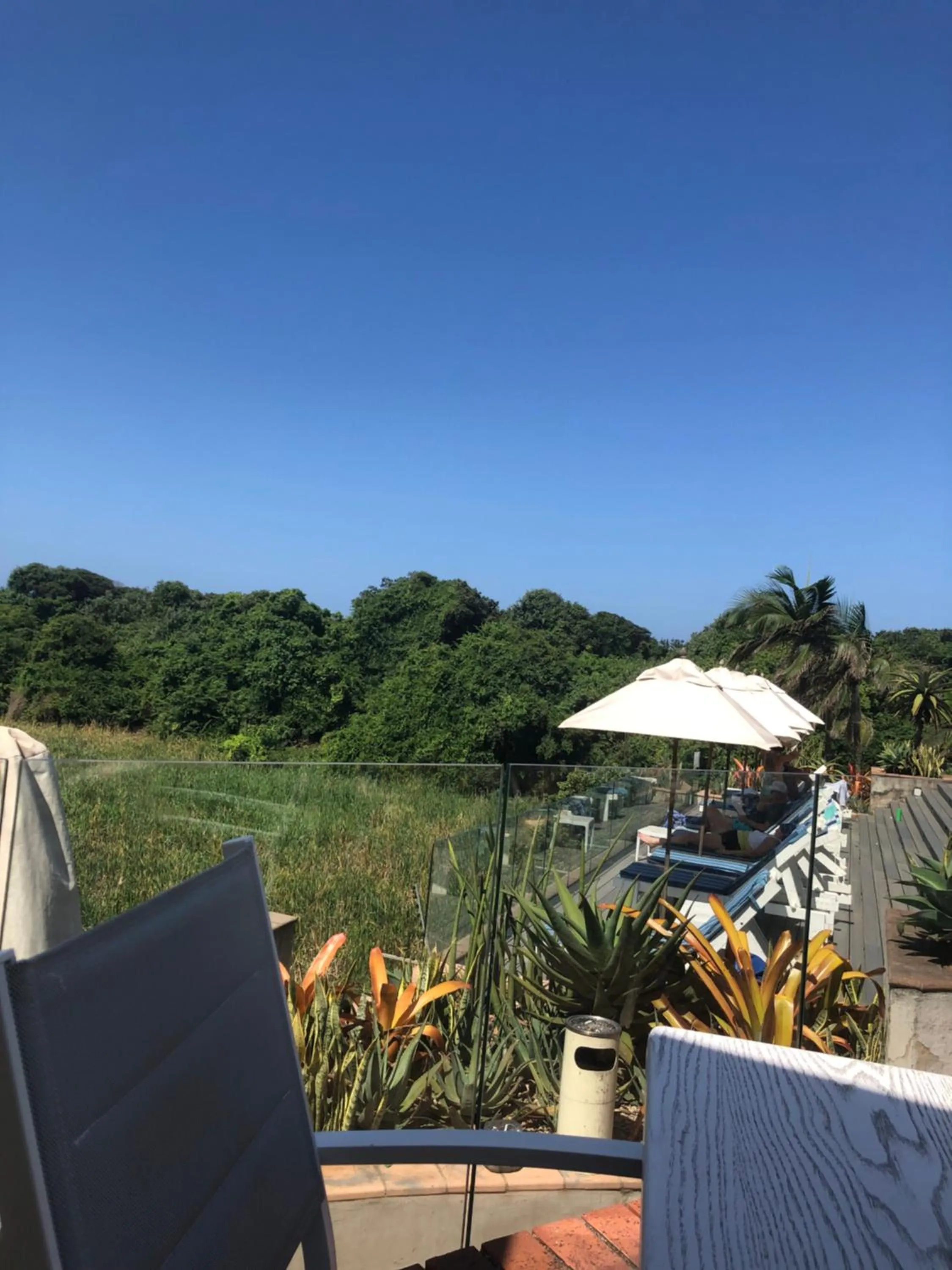 Natural landscape in Breakers Resort, Umhlanga, 232