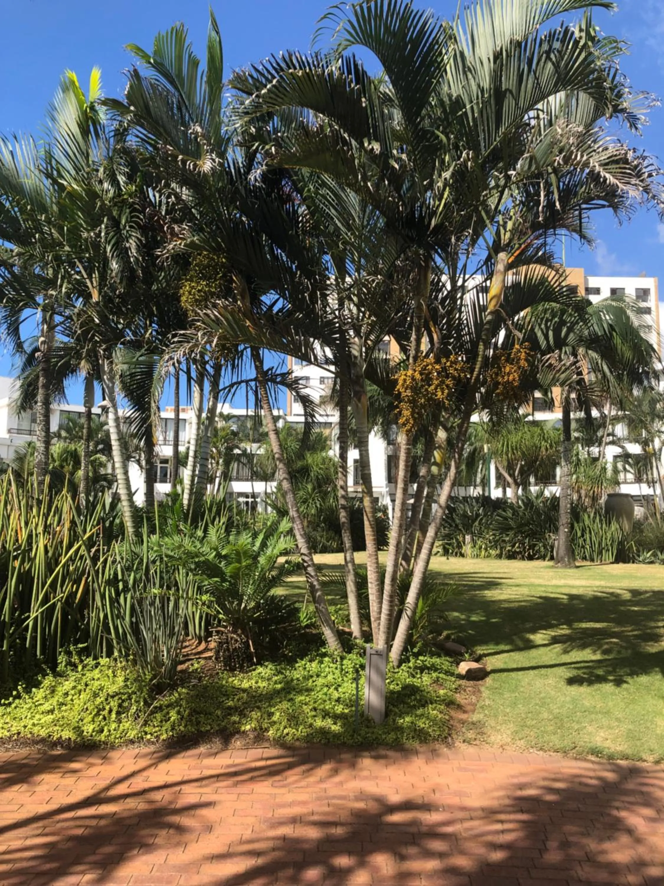 Day in Breakers Resort, Umhlanga, 232