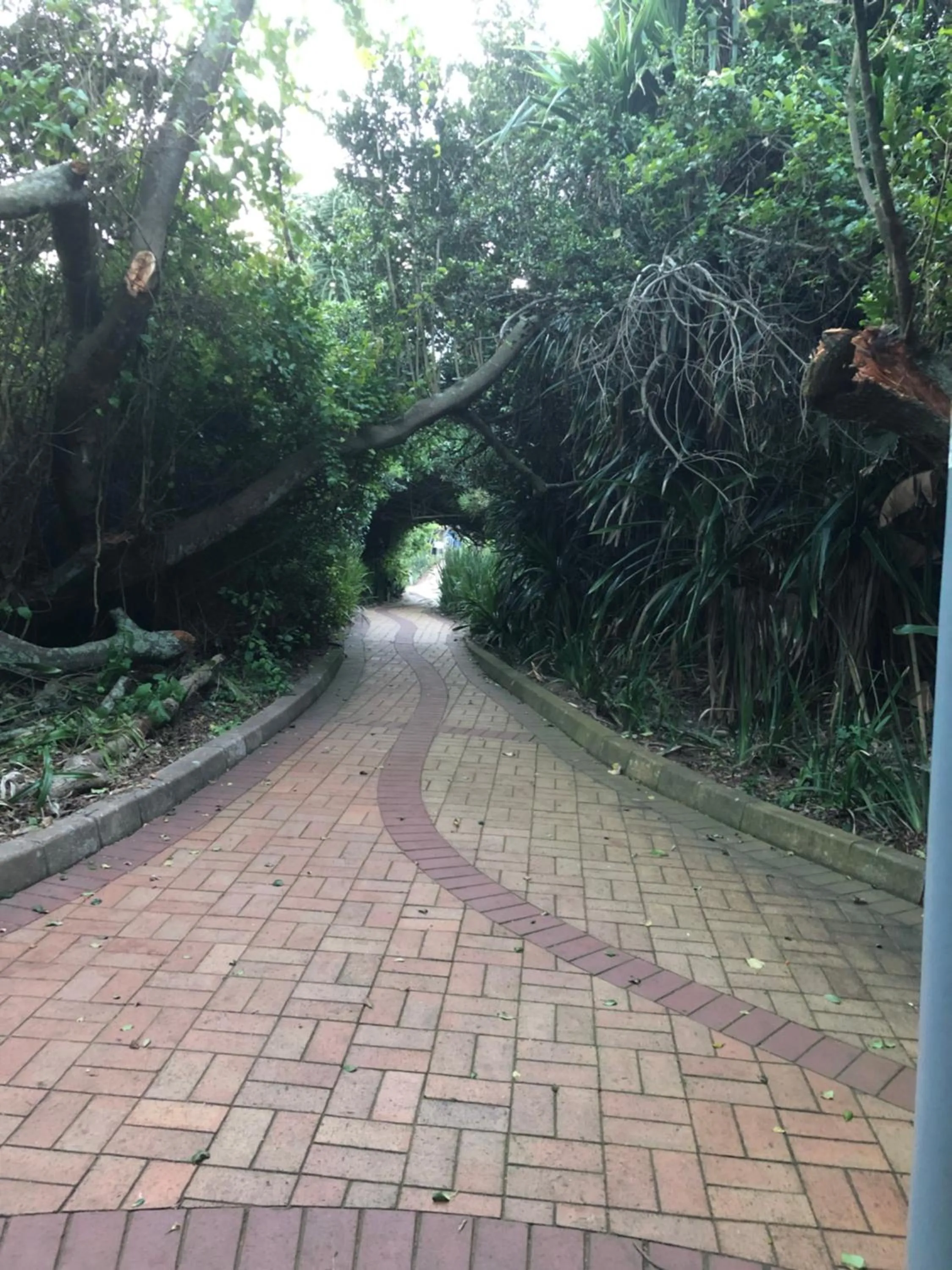 Day in Breakers Resort, Umhlanga, 232